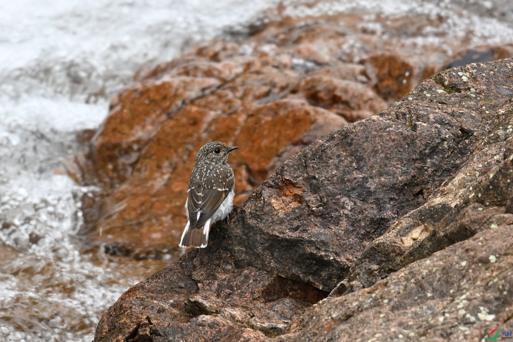 DSC_3269.JPG