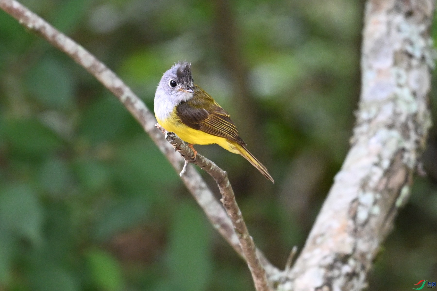DSC_3098.JPG