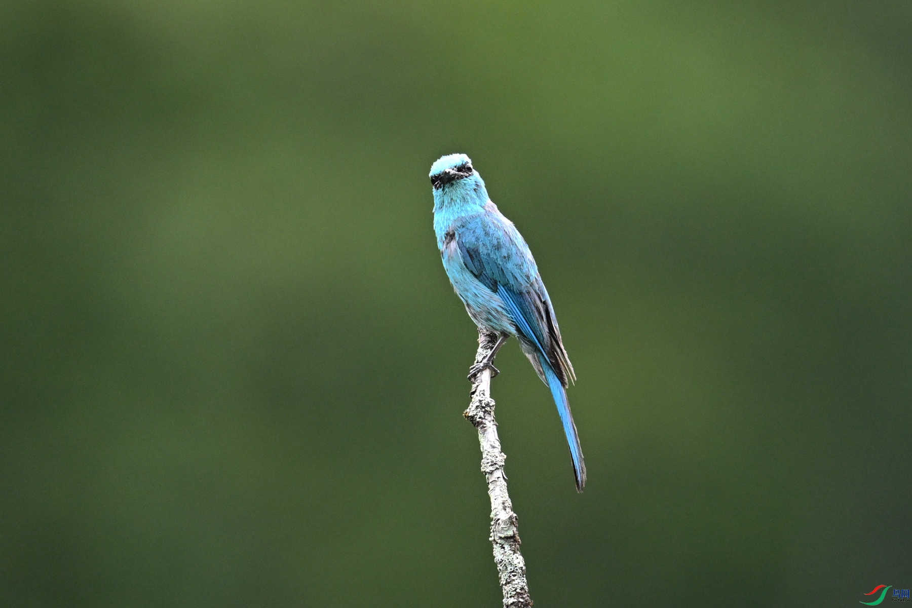 DSC_3176.JPG