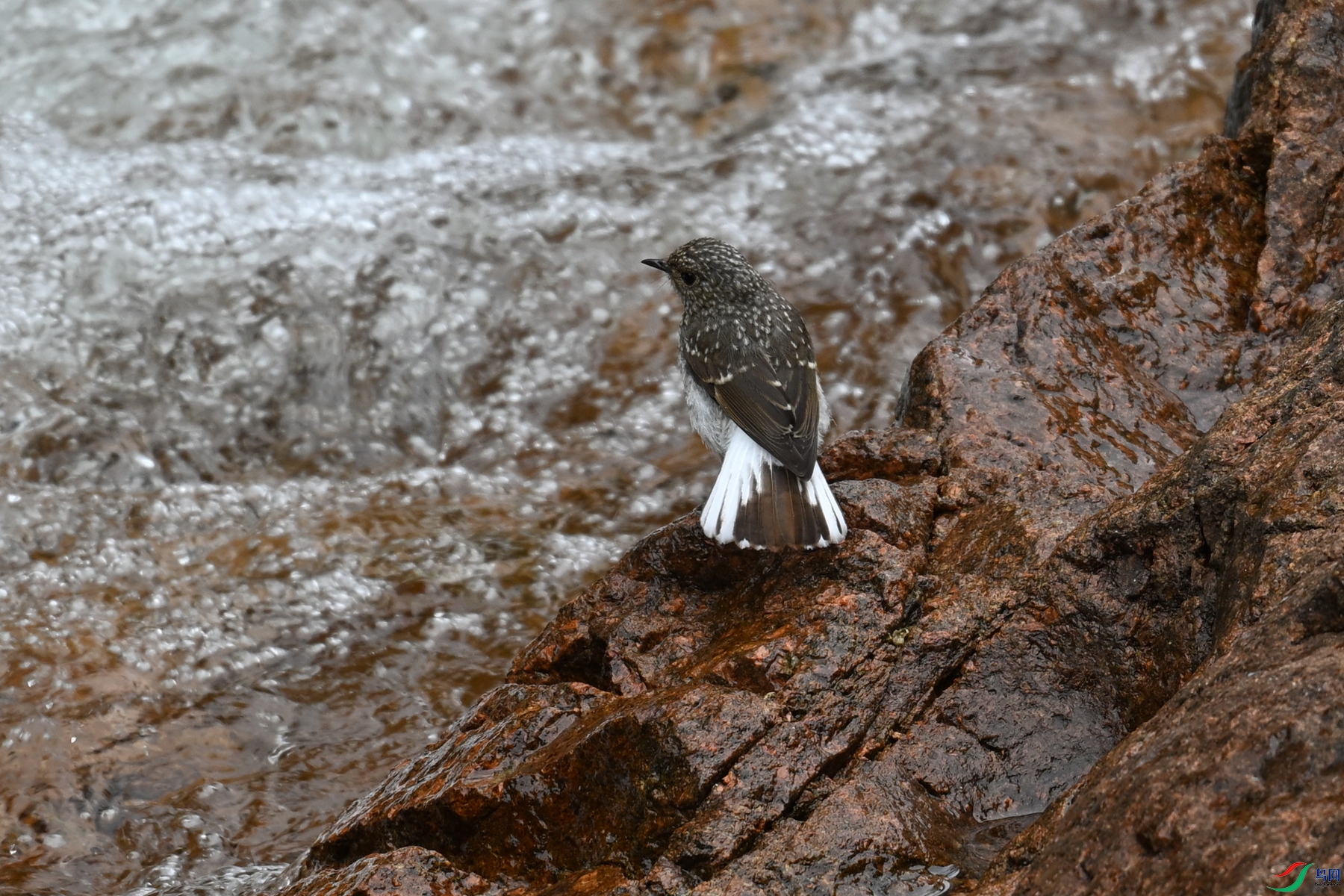 DSC_3261.JPG