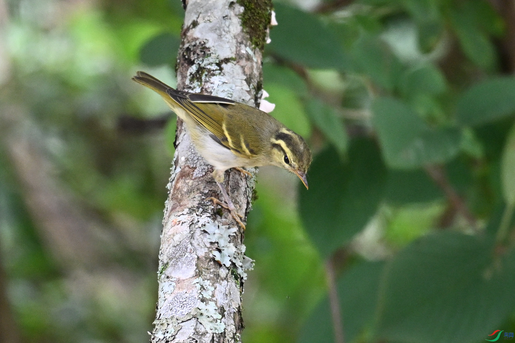DSC_3111.JPG