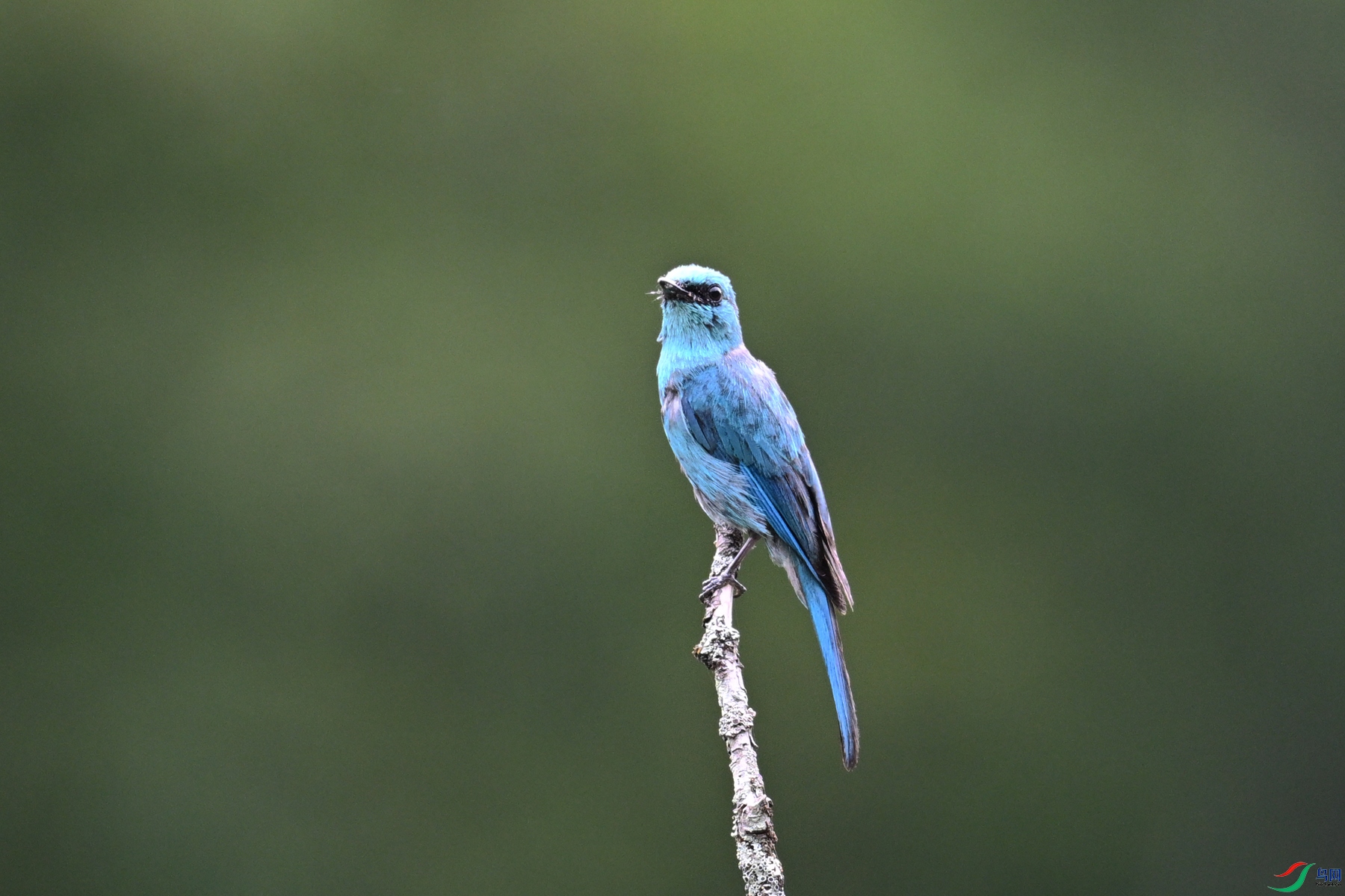 DSC_3165.JPG