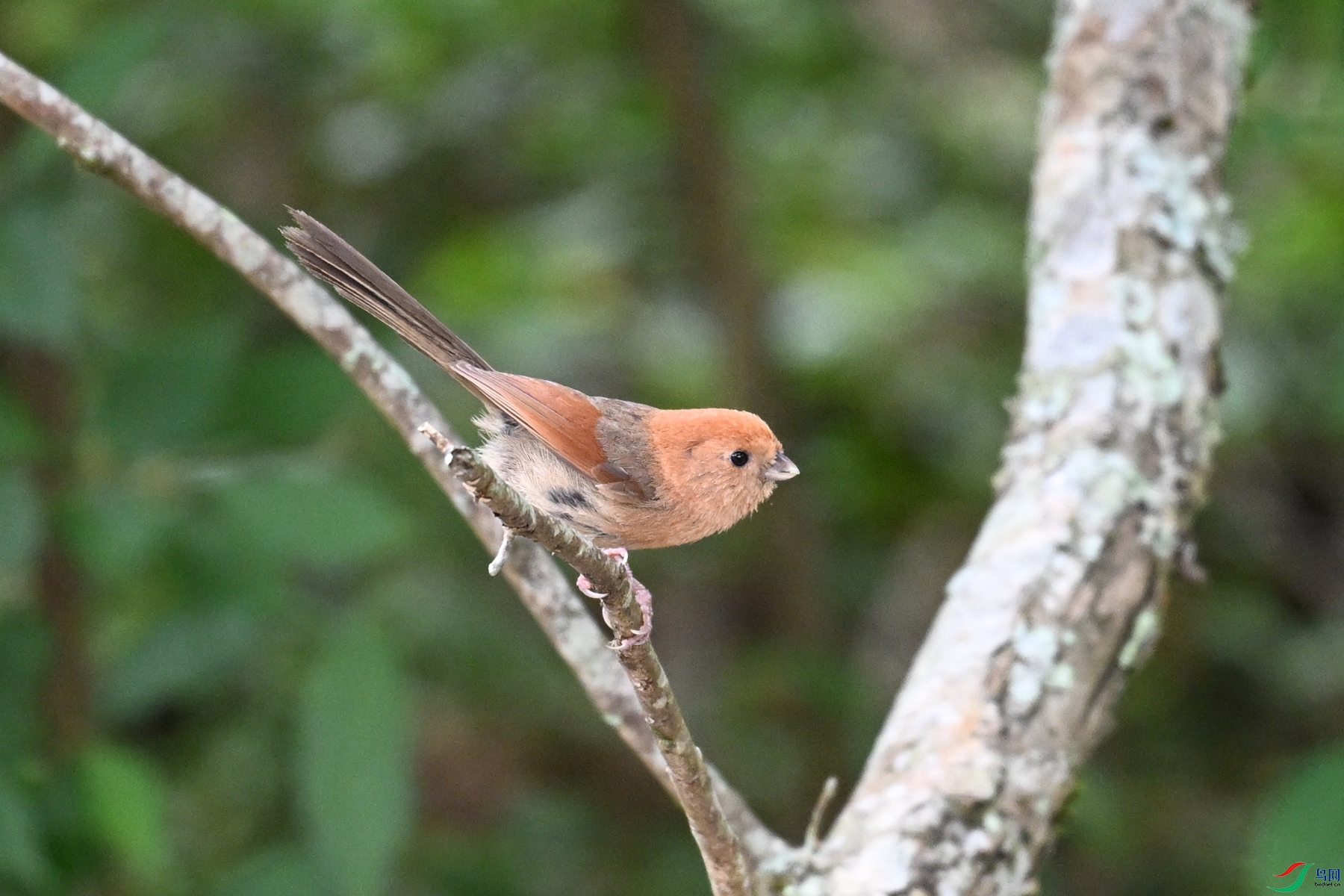 DSC_3228.JPG