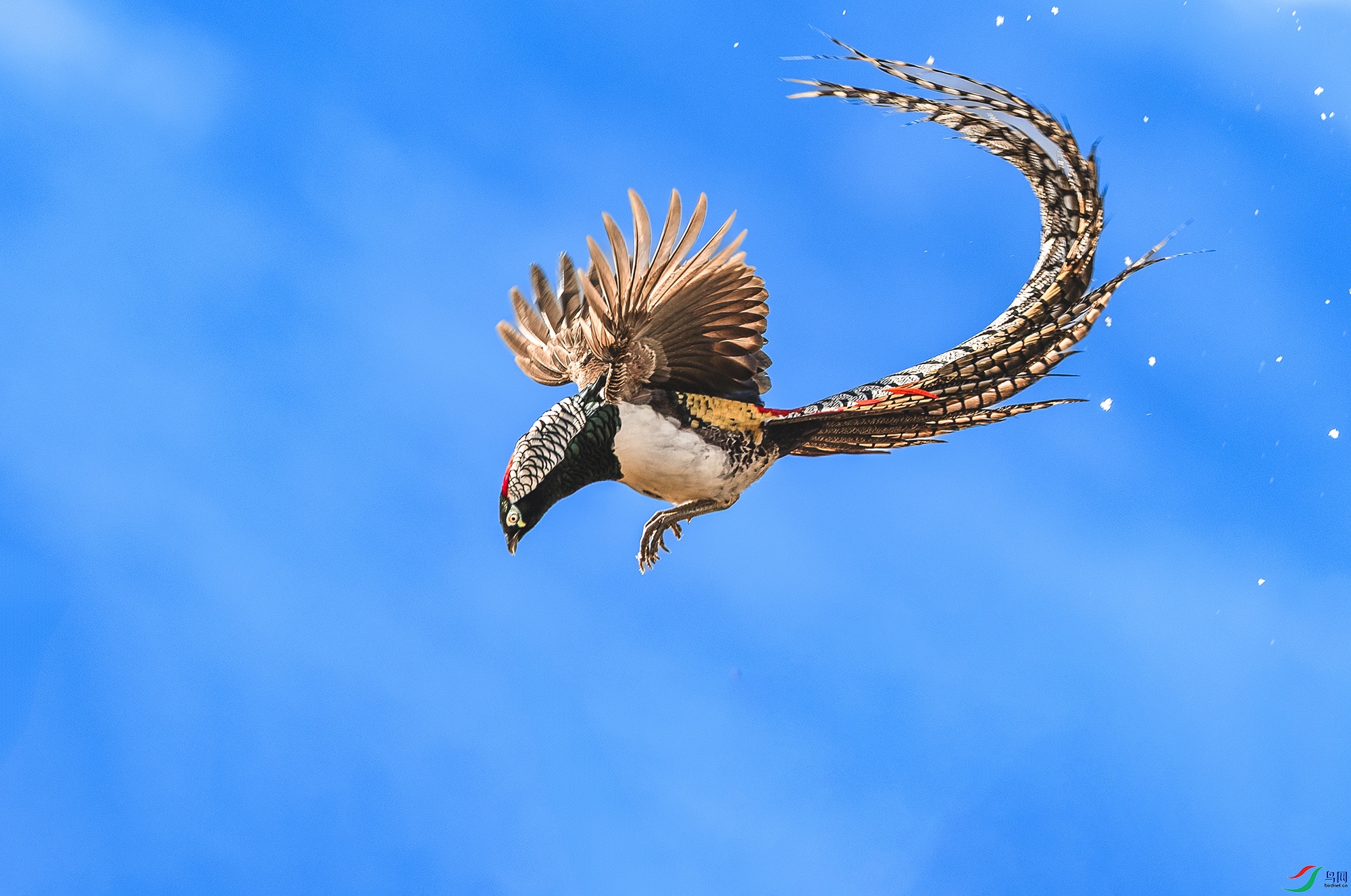 0N6A2735 ���� 2�׸�����1 ����.jpg