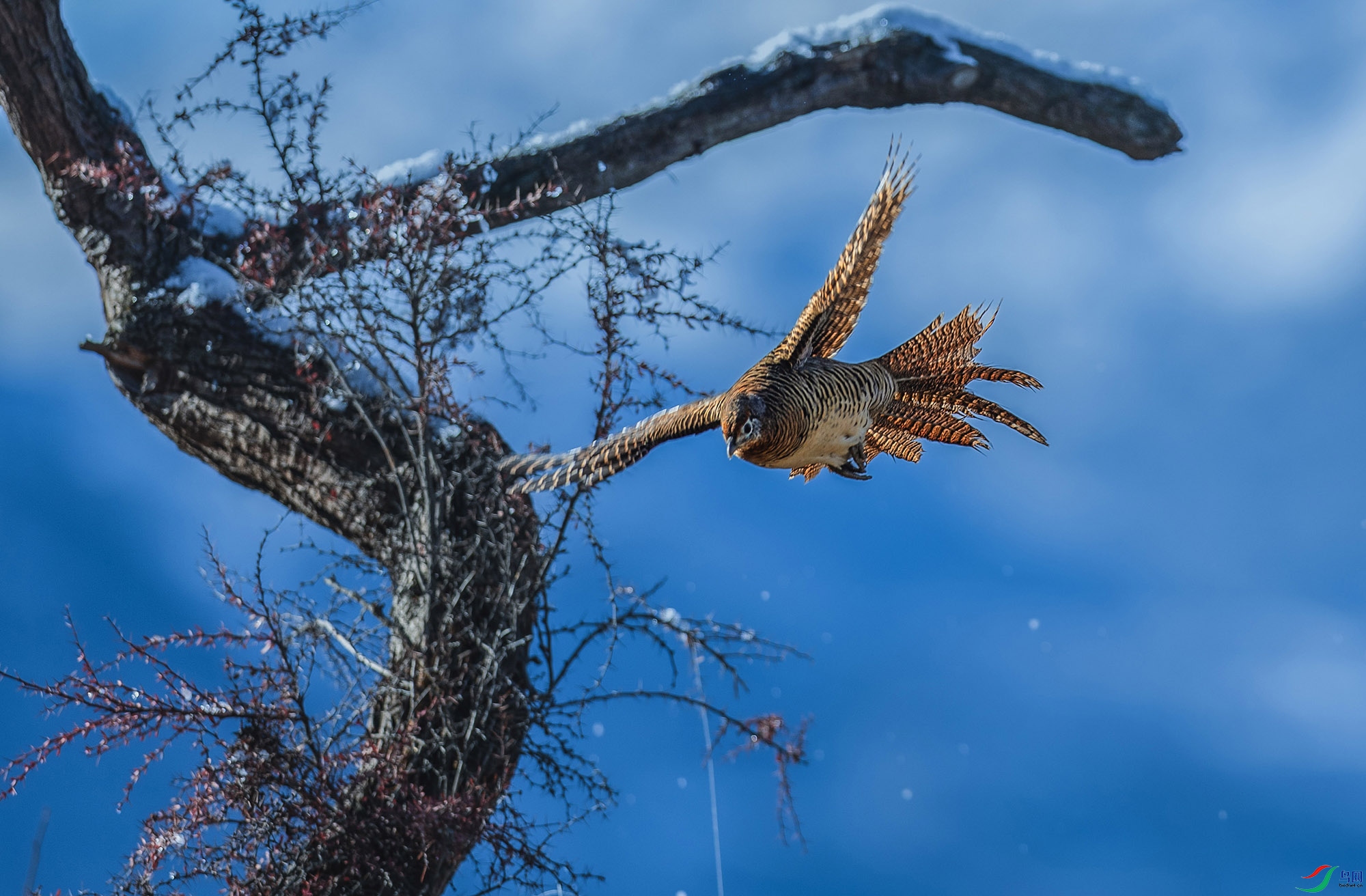 0N6A1248 ���� 2�׸�����2 ����.jpg