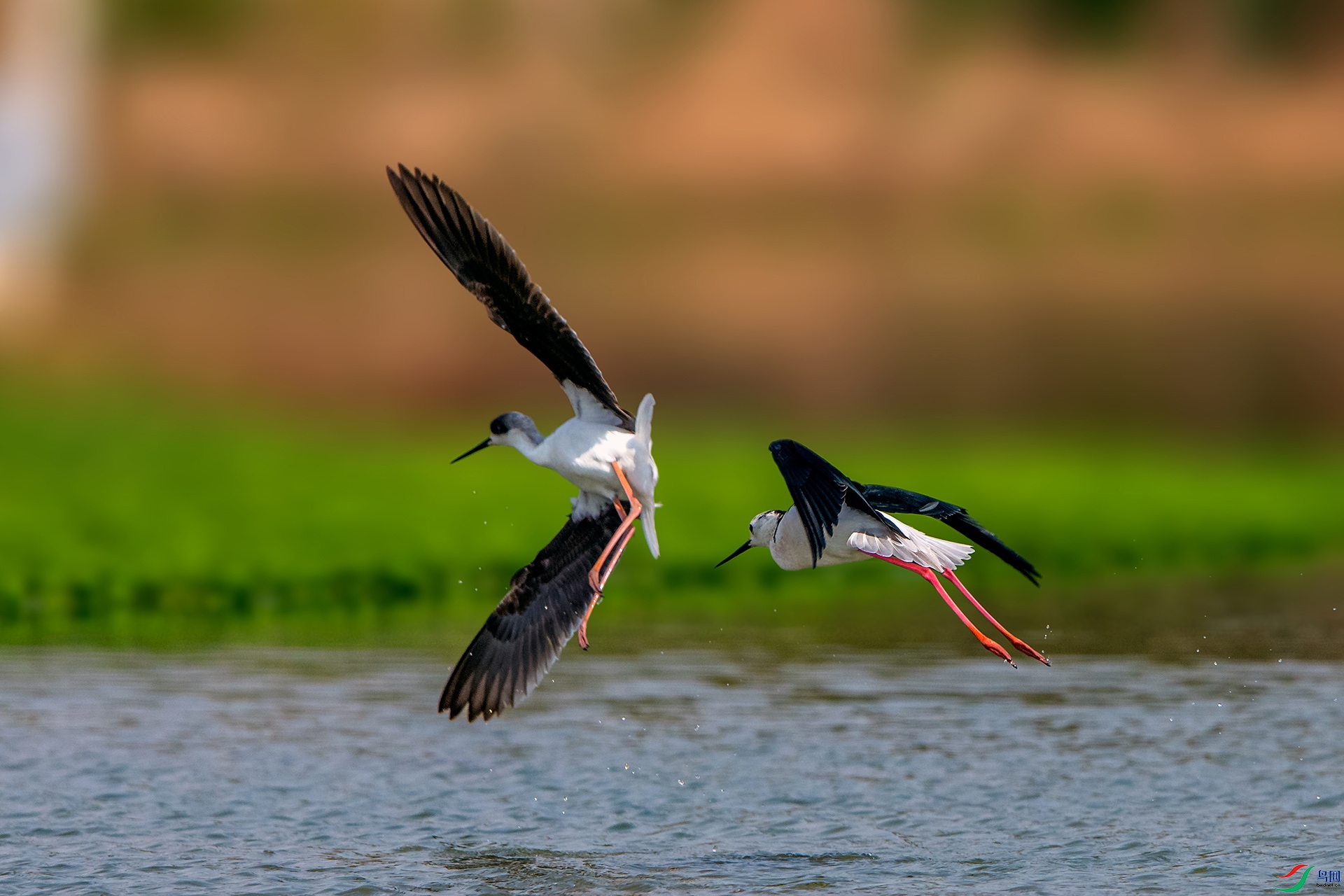 _AUU0209׷(24.3.30).jpg