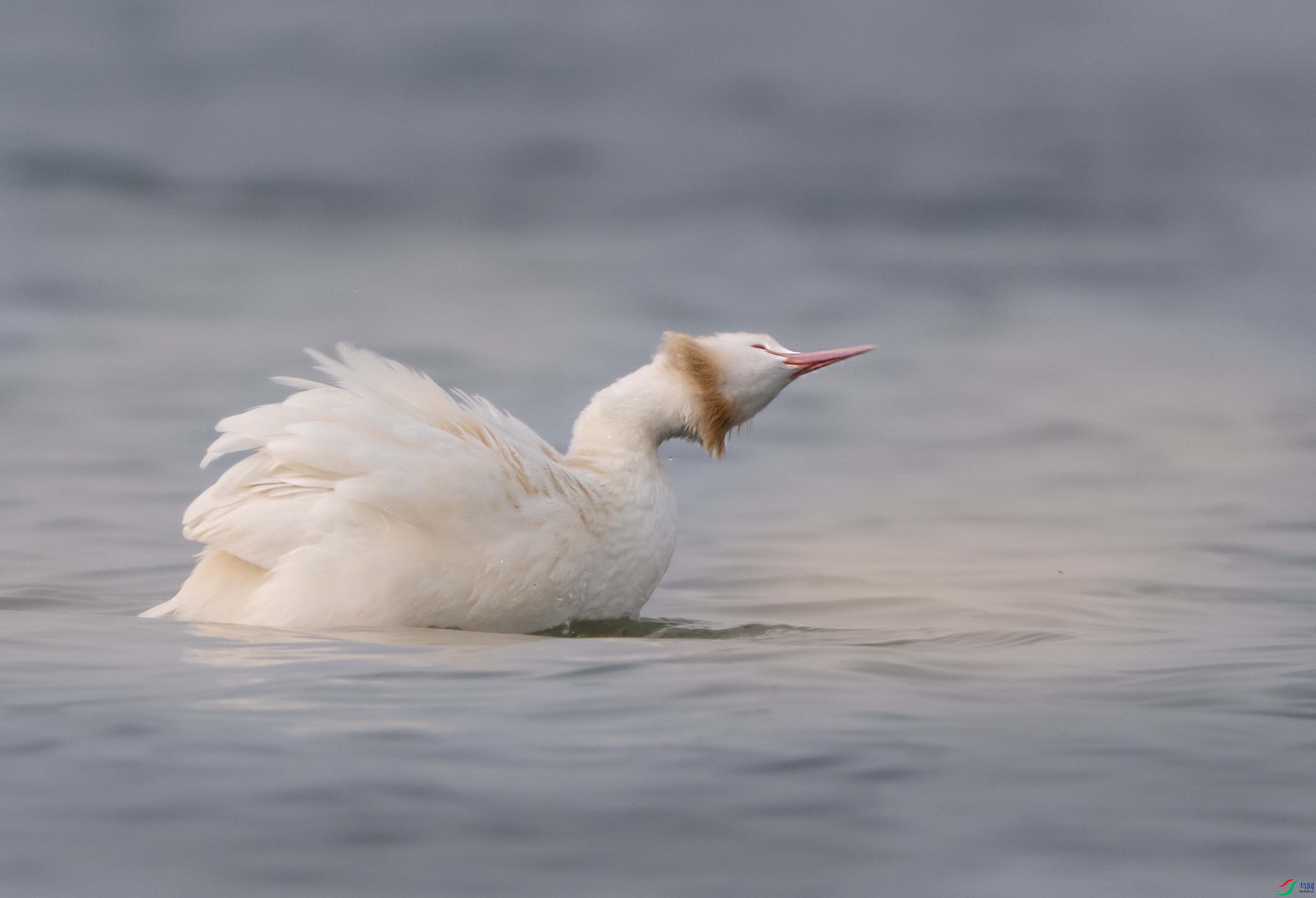 1-xtP3131472 ����.jpg