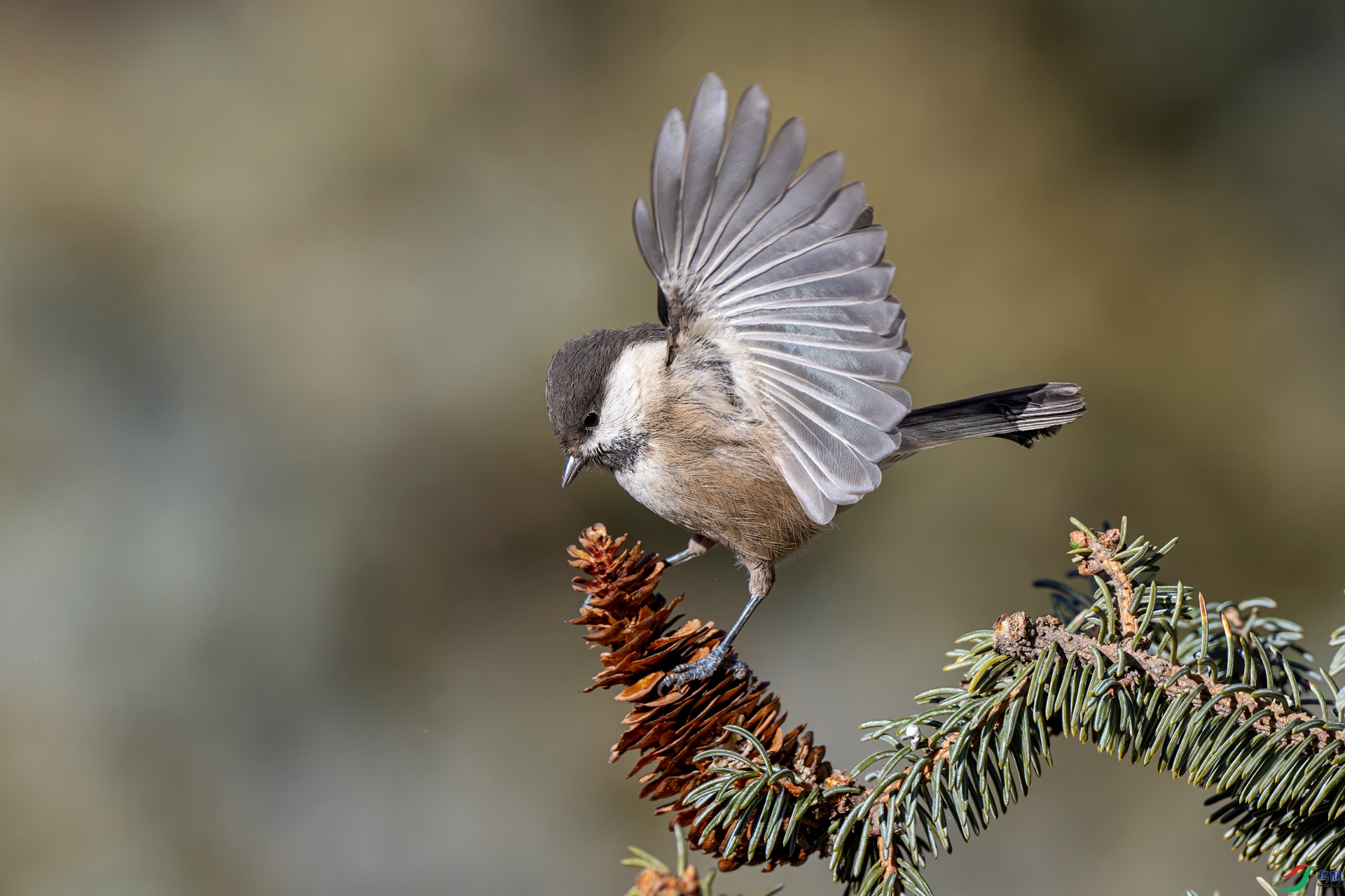 DSC_5831.jpg