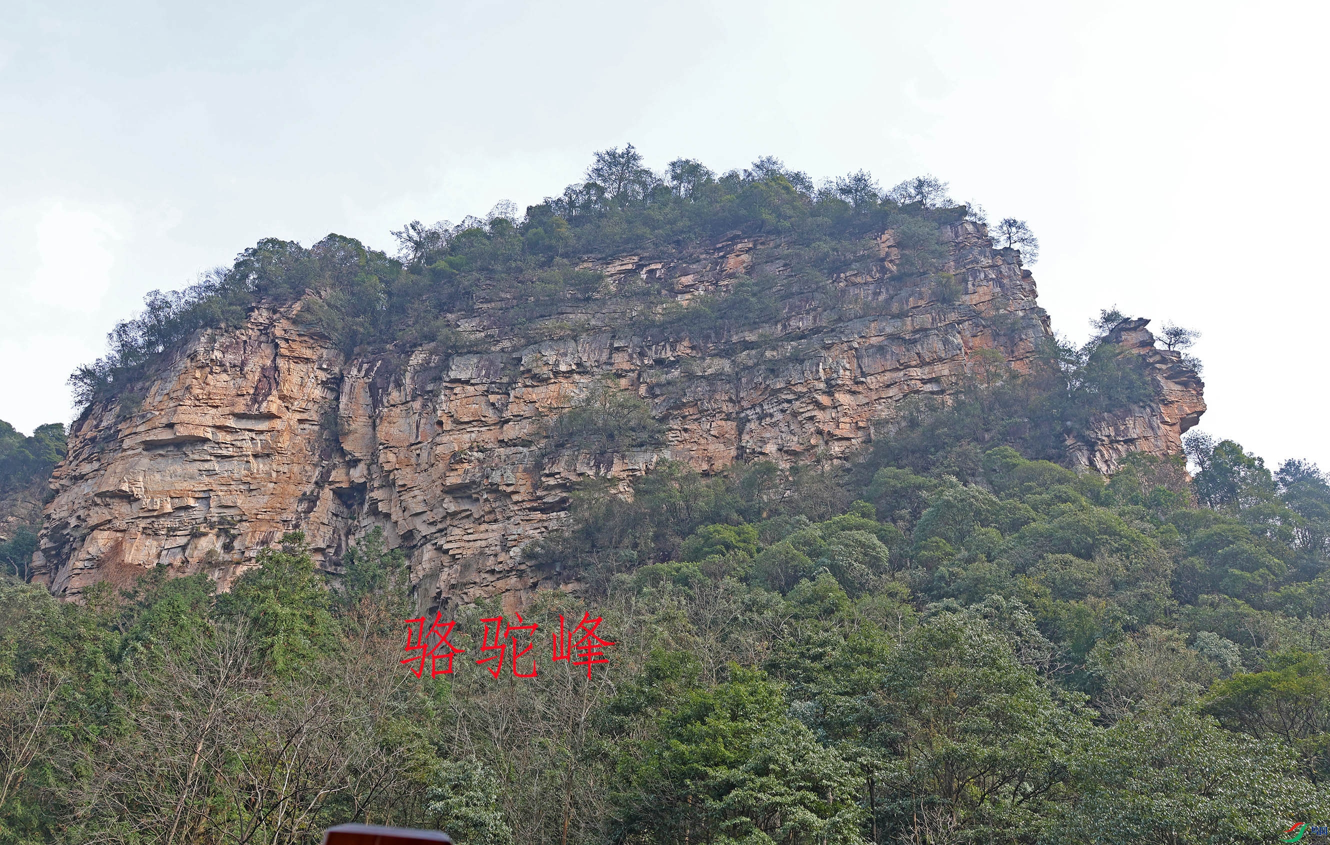 2G9A3379.JPG