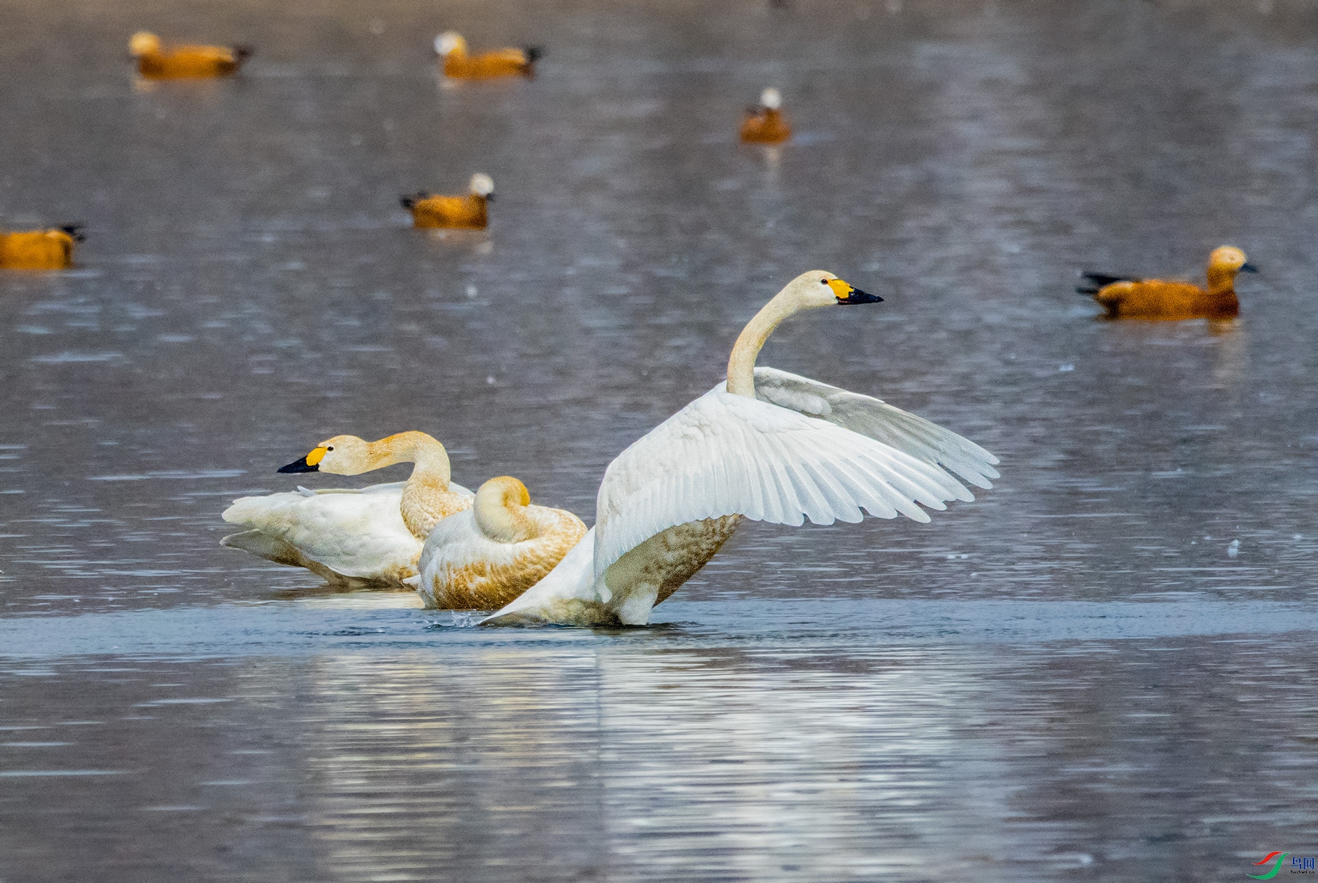 DSC_0520_��ͼ�� ����.jpg