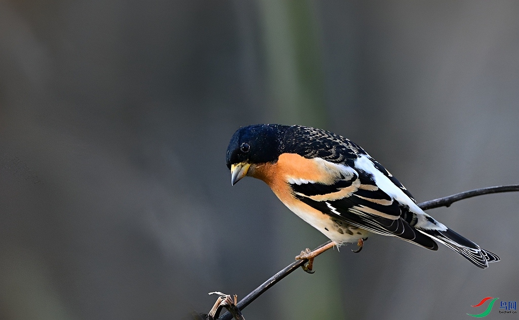 DSC_5428.JPG