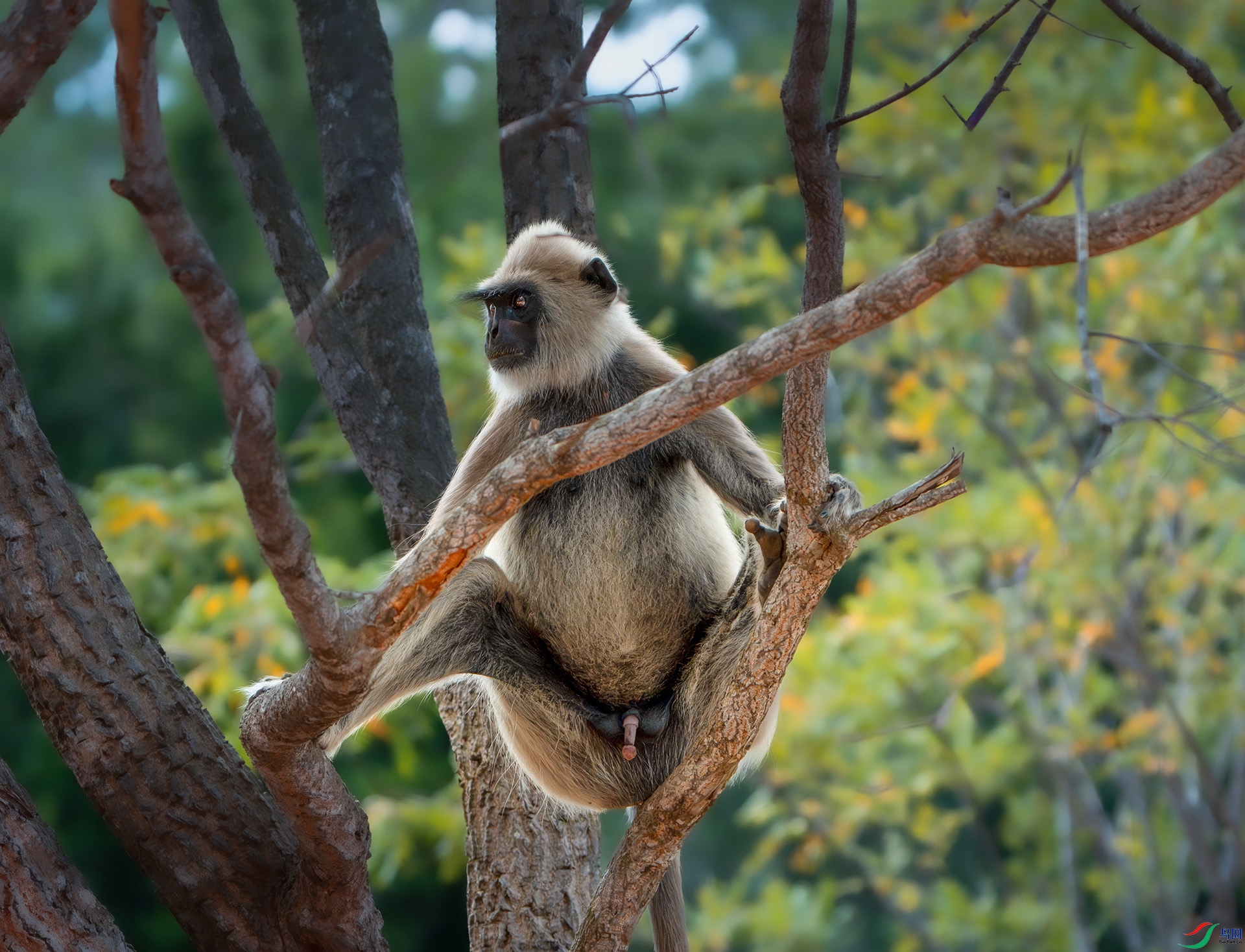 _DSC3189 ���� 3.jpg