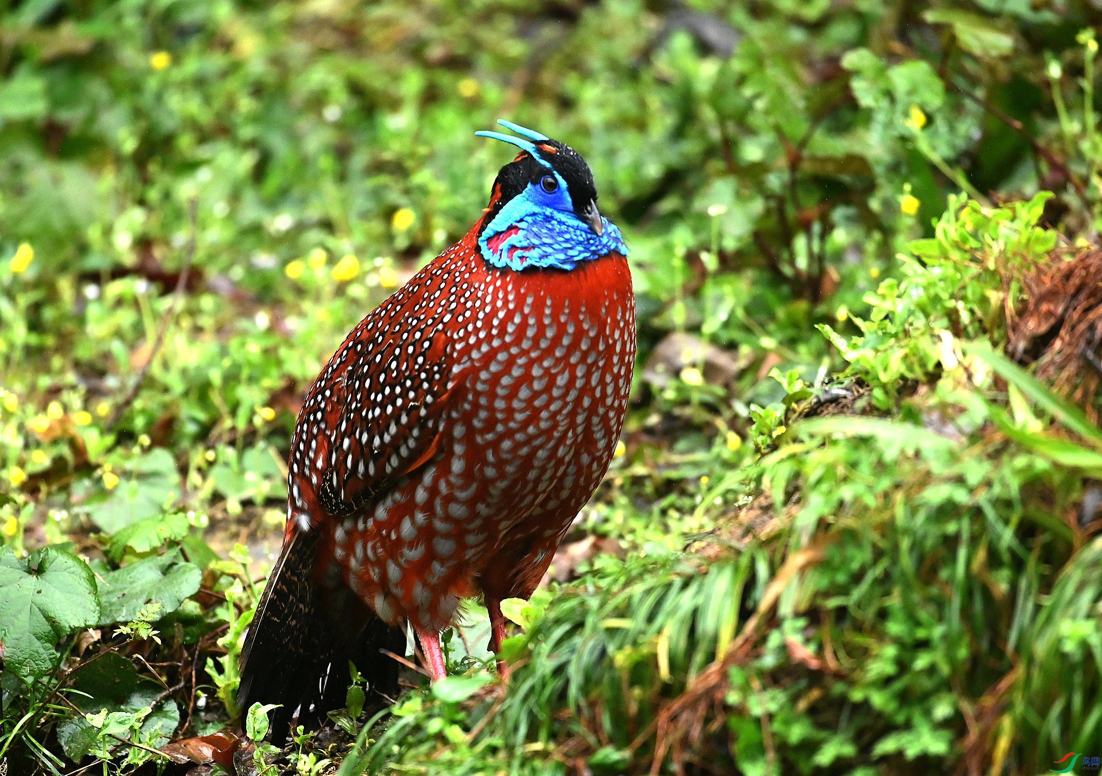 DSC_6364_����_����.jpg