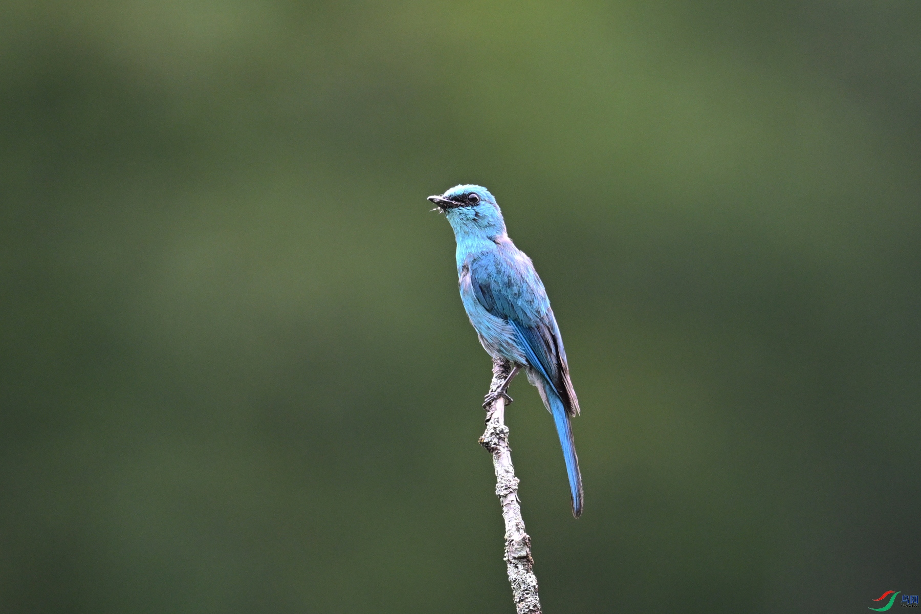 DSC_3167.JPG