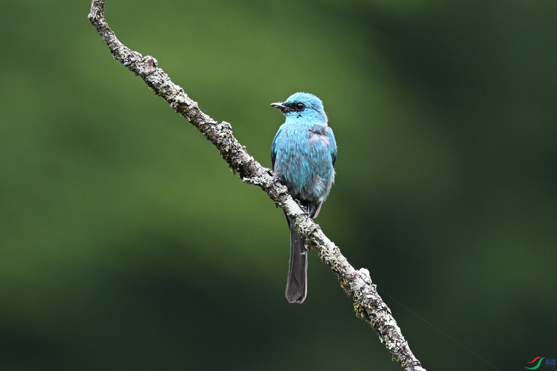 DSC_3240.JPG