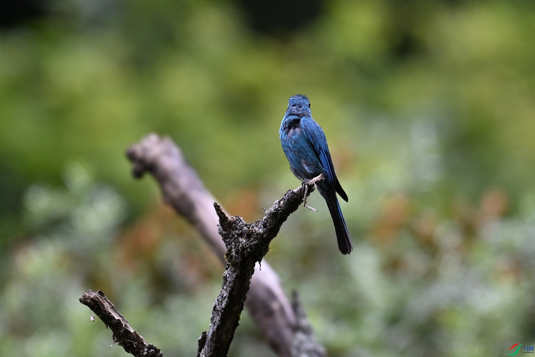 DSC_3251.JPG