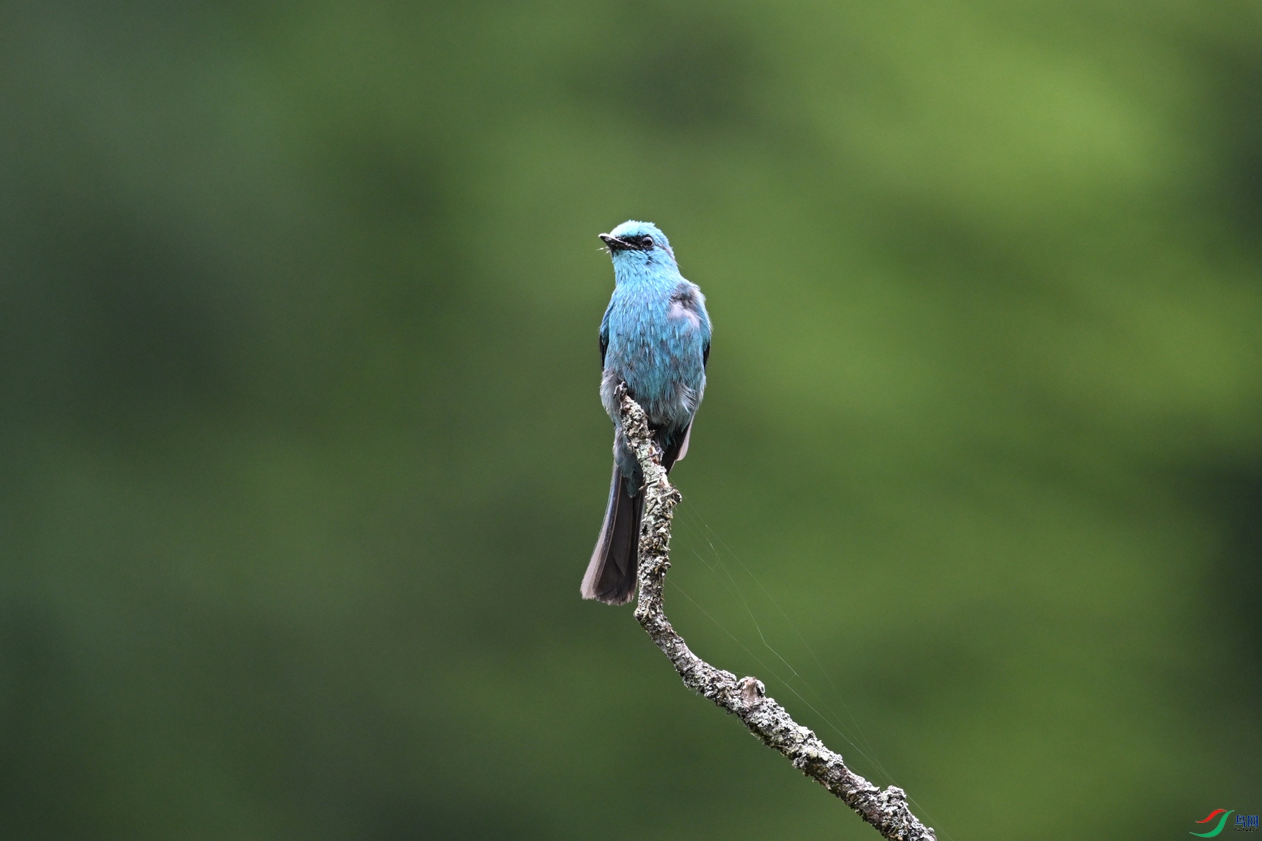 DSC_3235.JPG