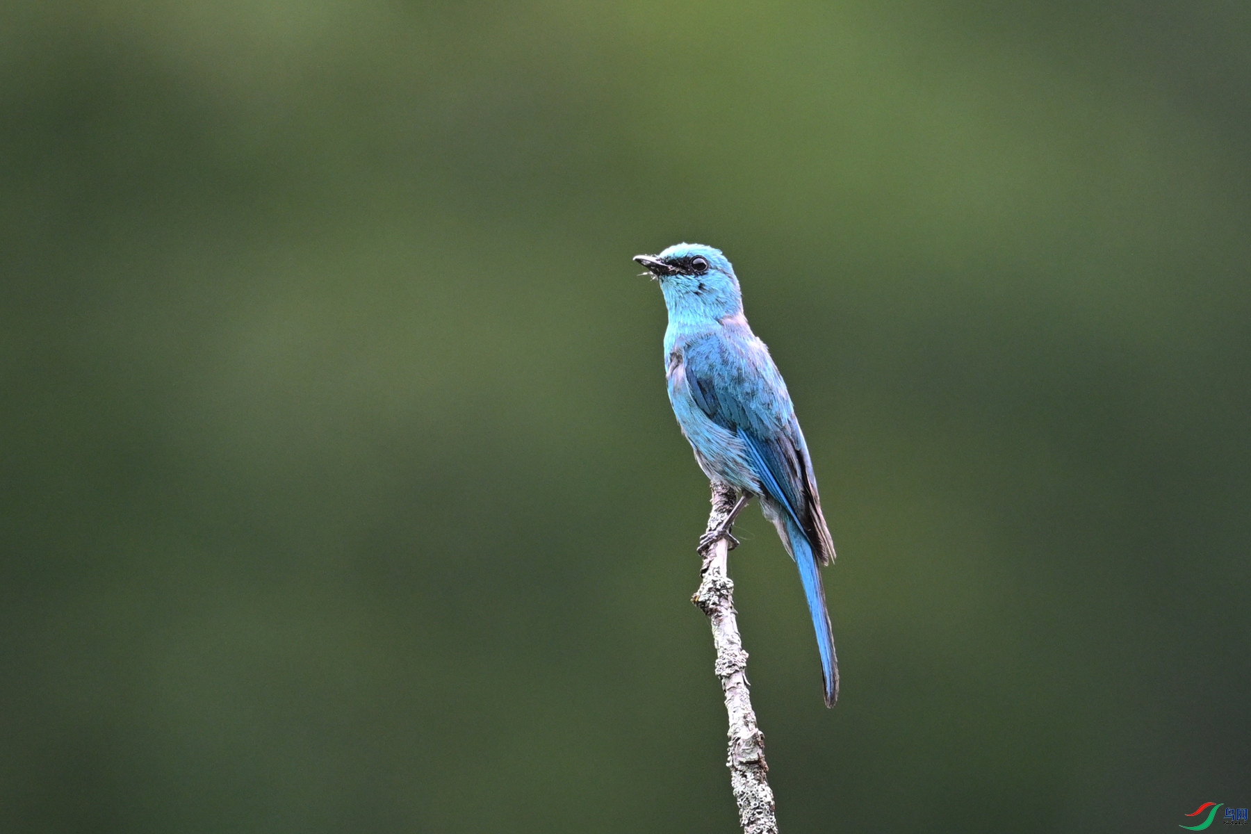 DSC_3168.JPG