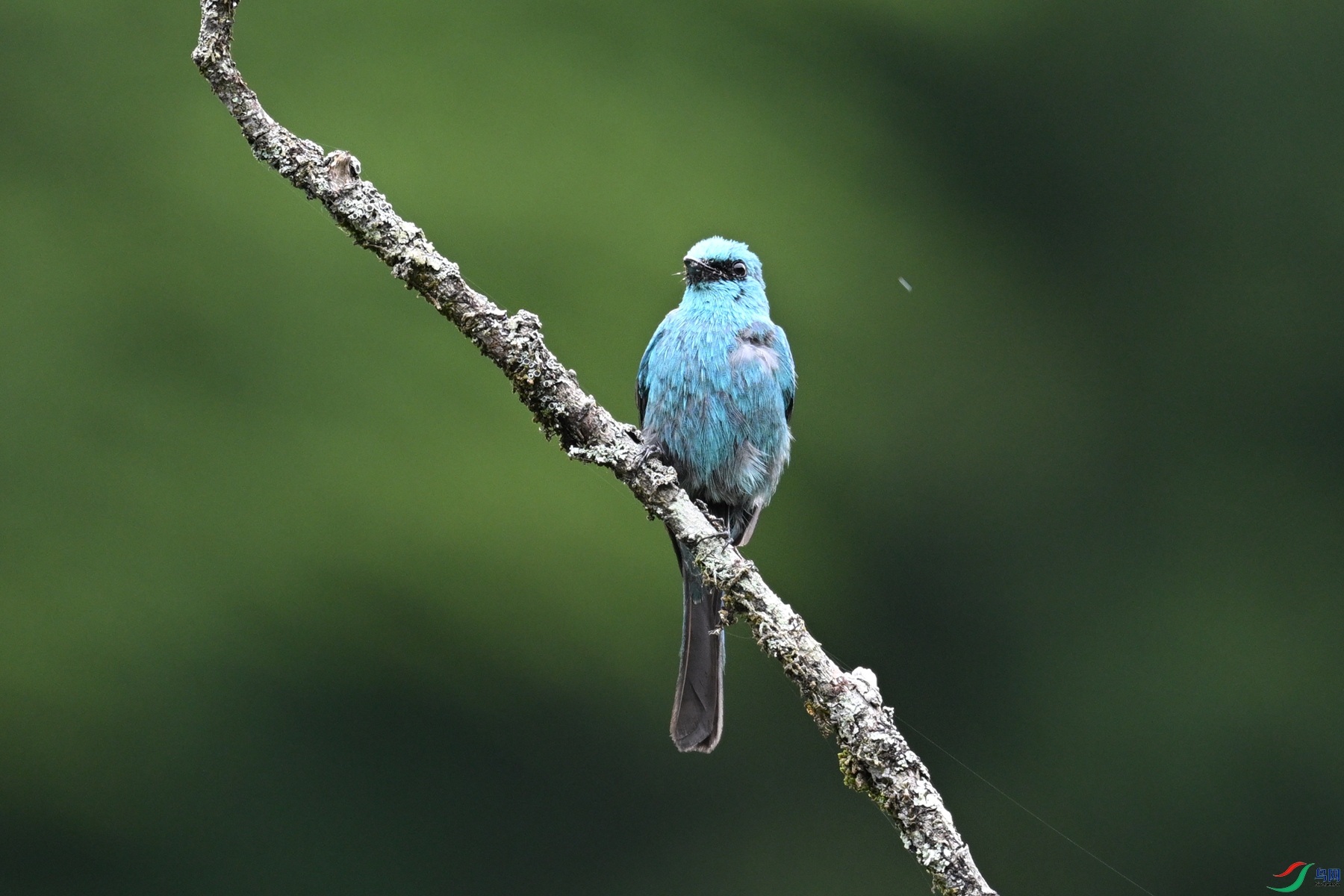 DSC_3242.JPG