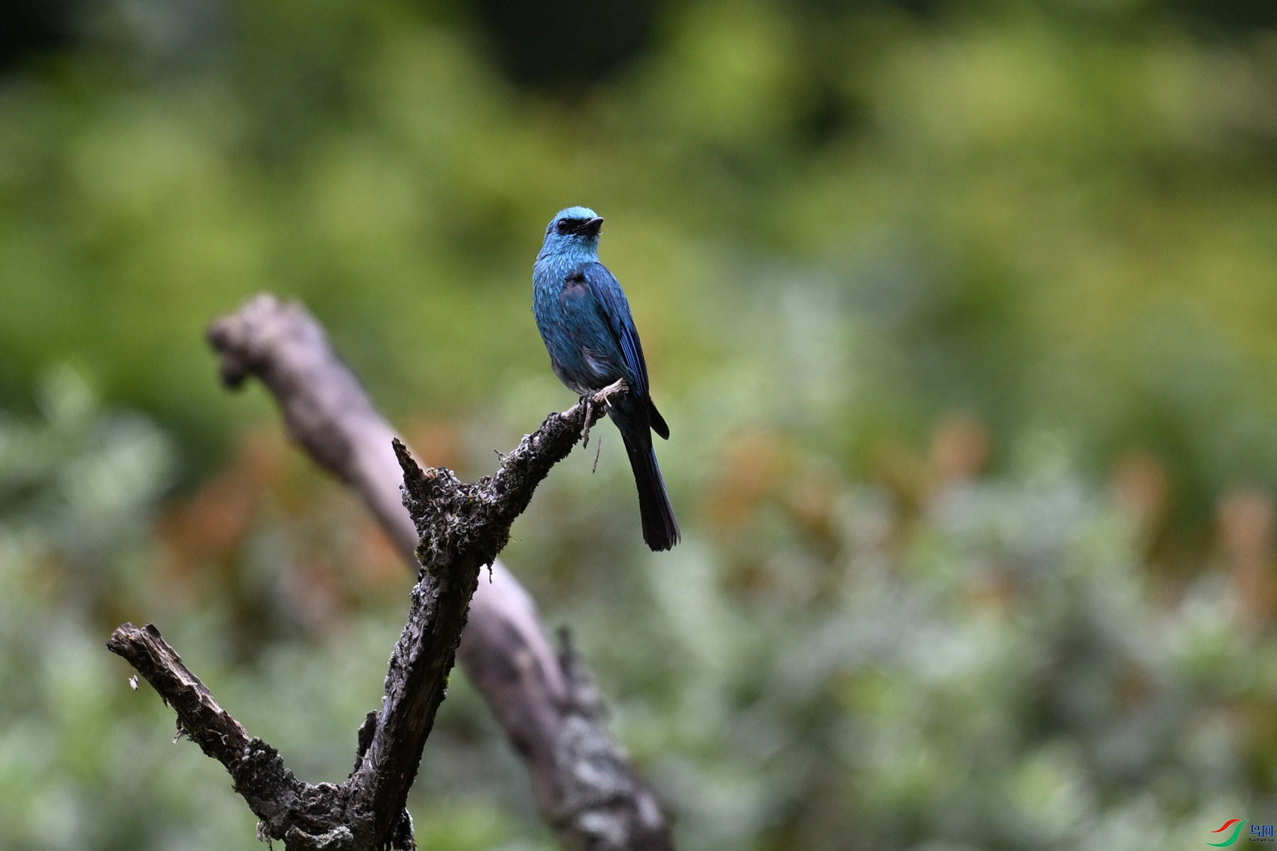 DSC_3256.JPG