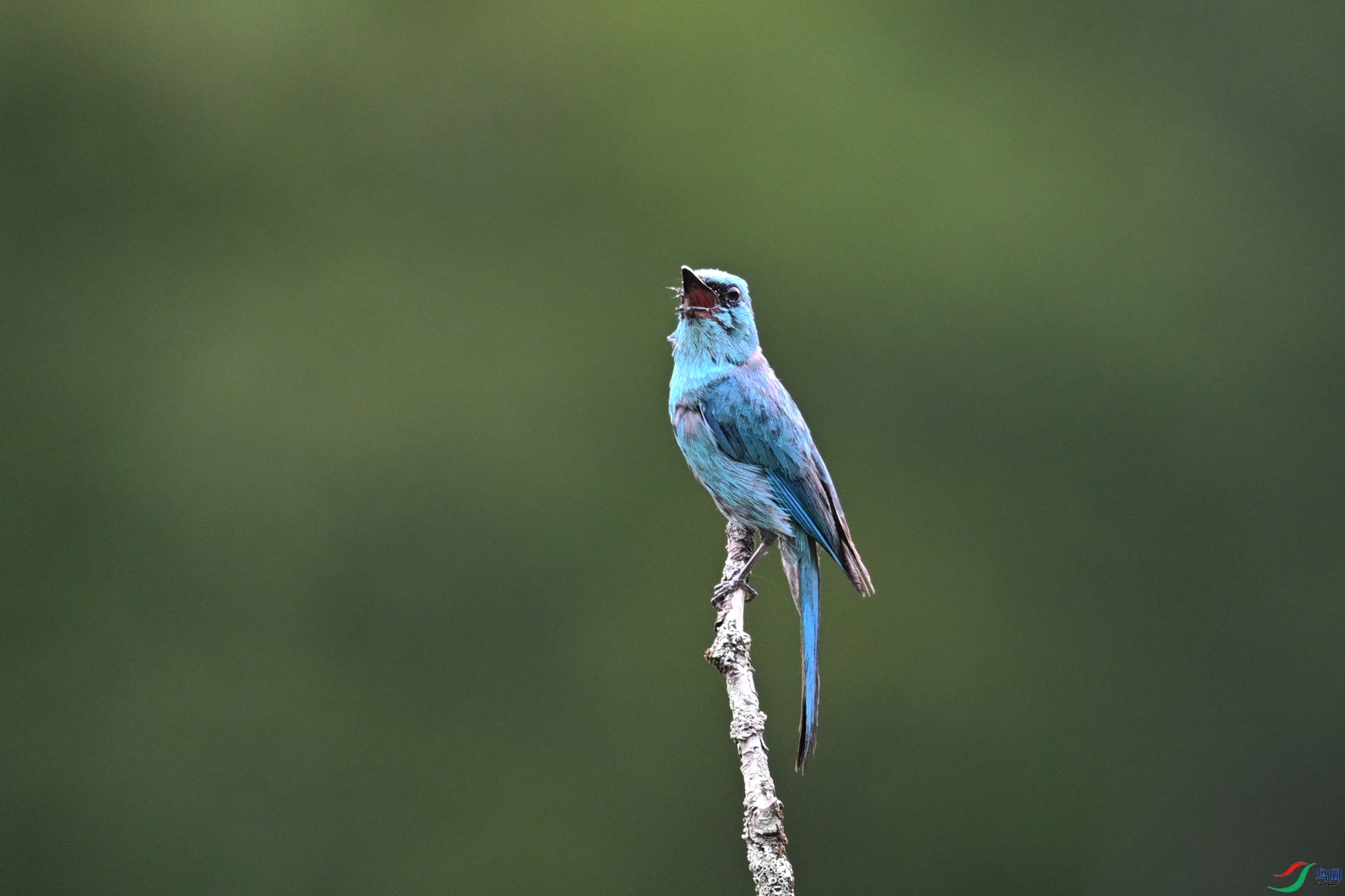 DSC_3170.JPG