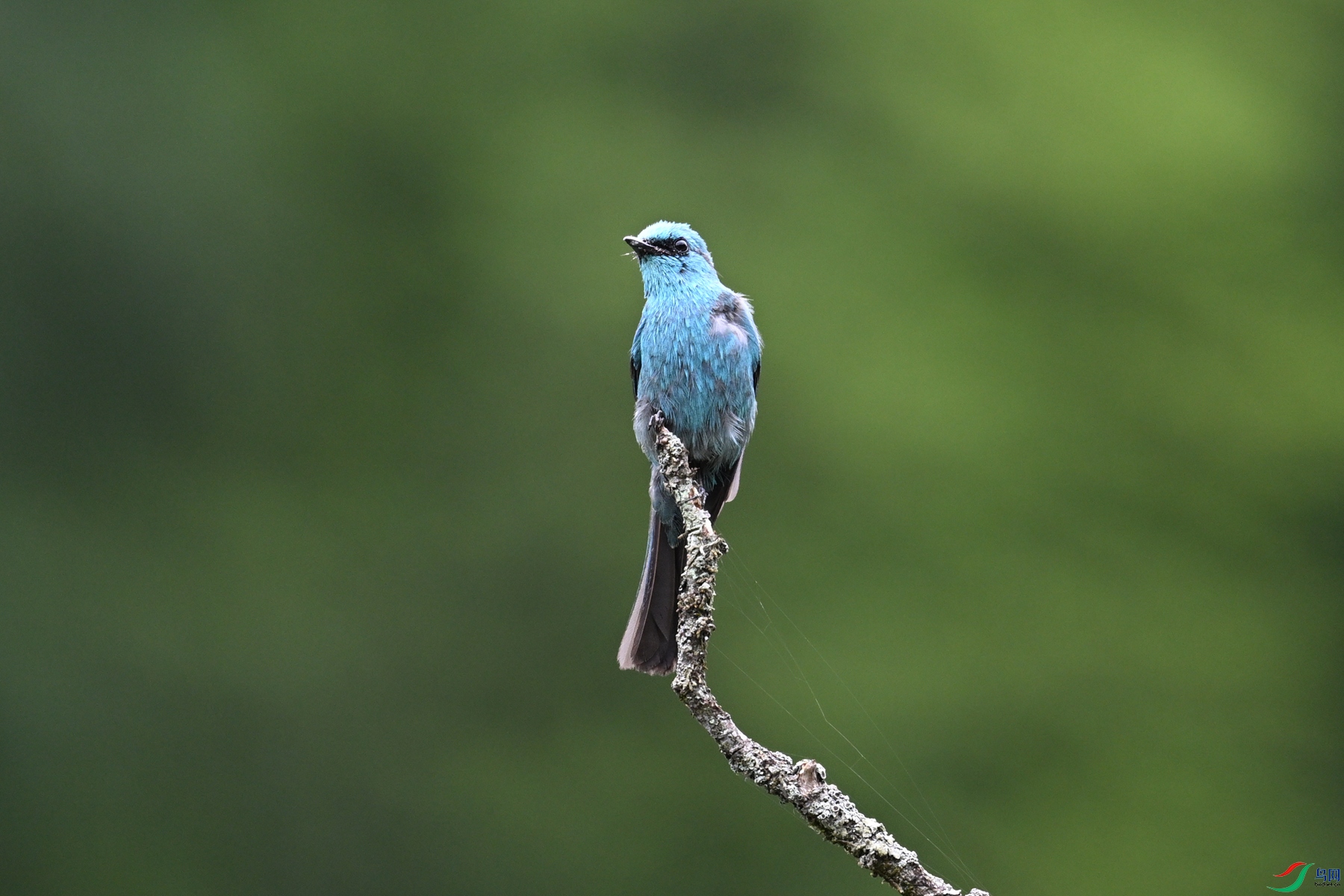 DSC_3236.JPG