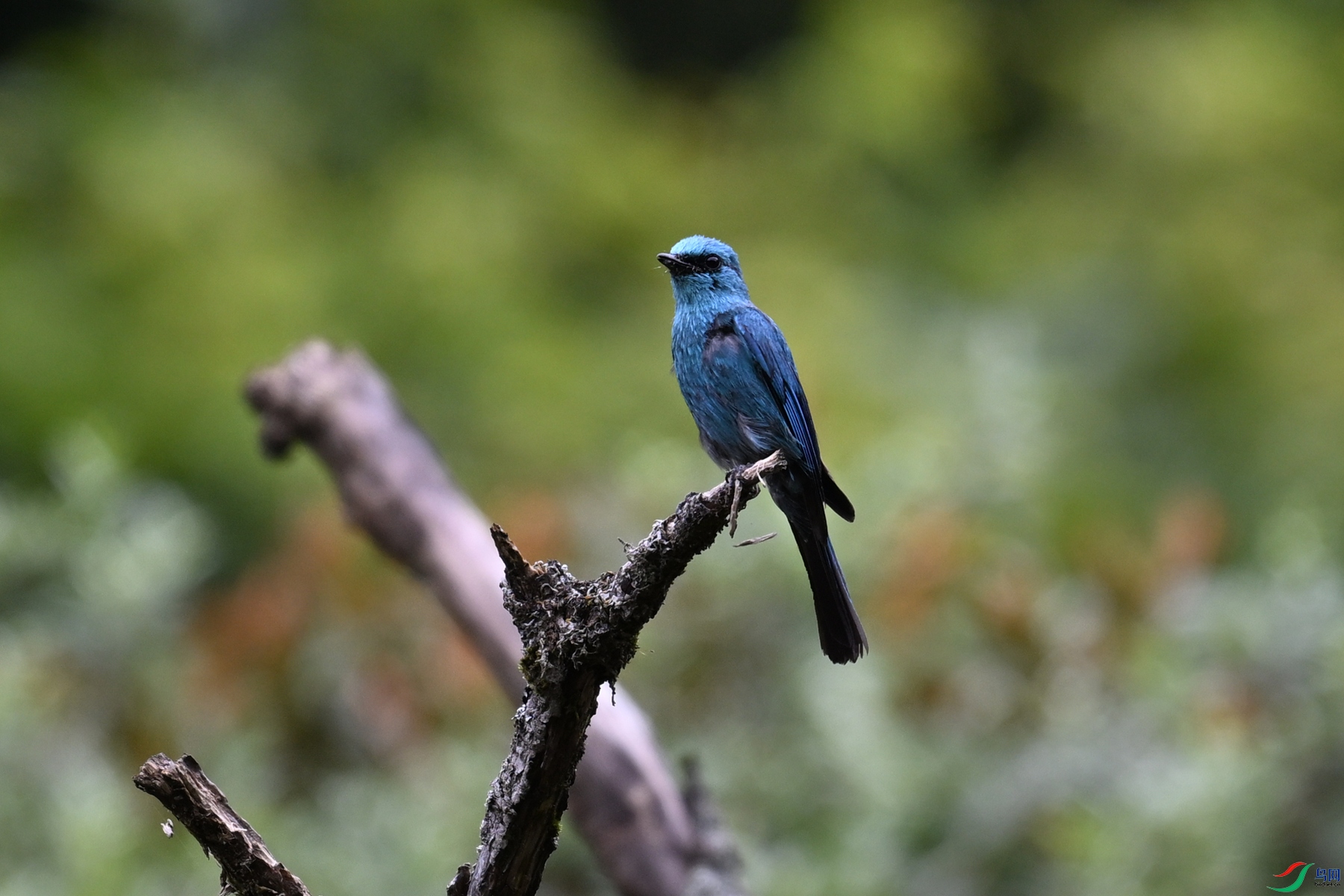 DSC_3250.JPG