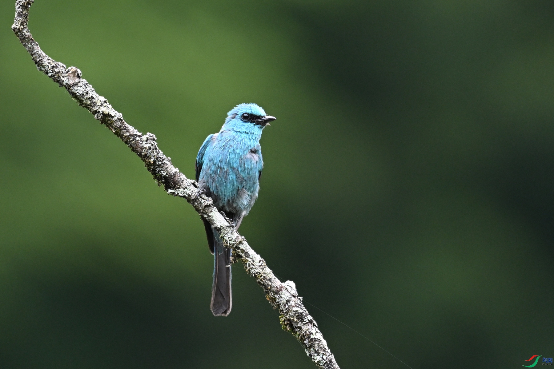 DSC_3245.JPG