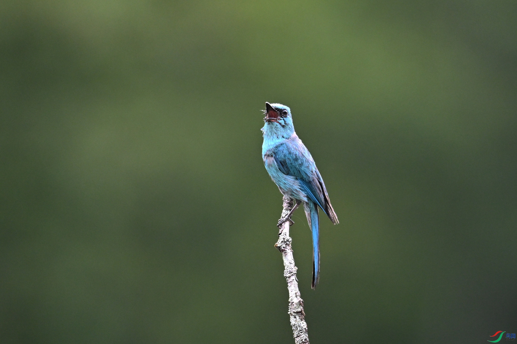 DSC_3171.JPG