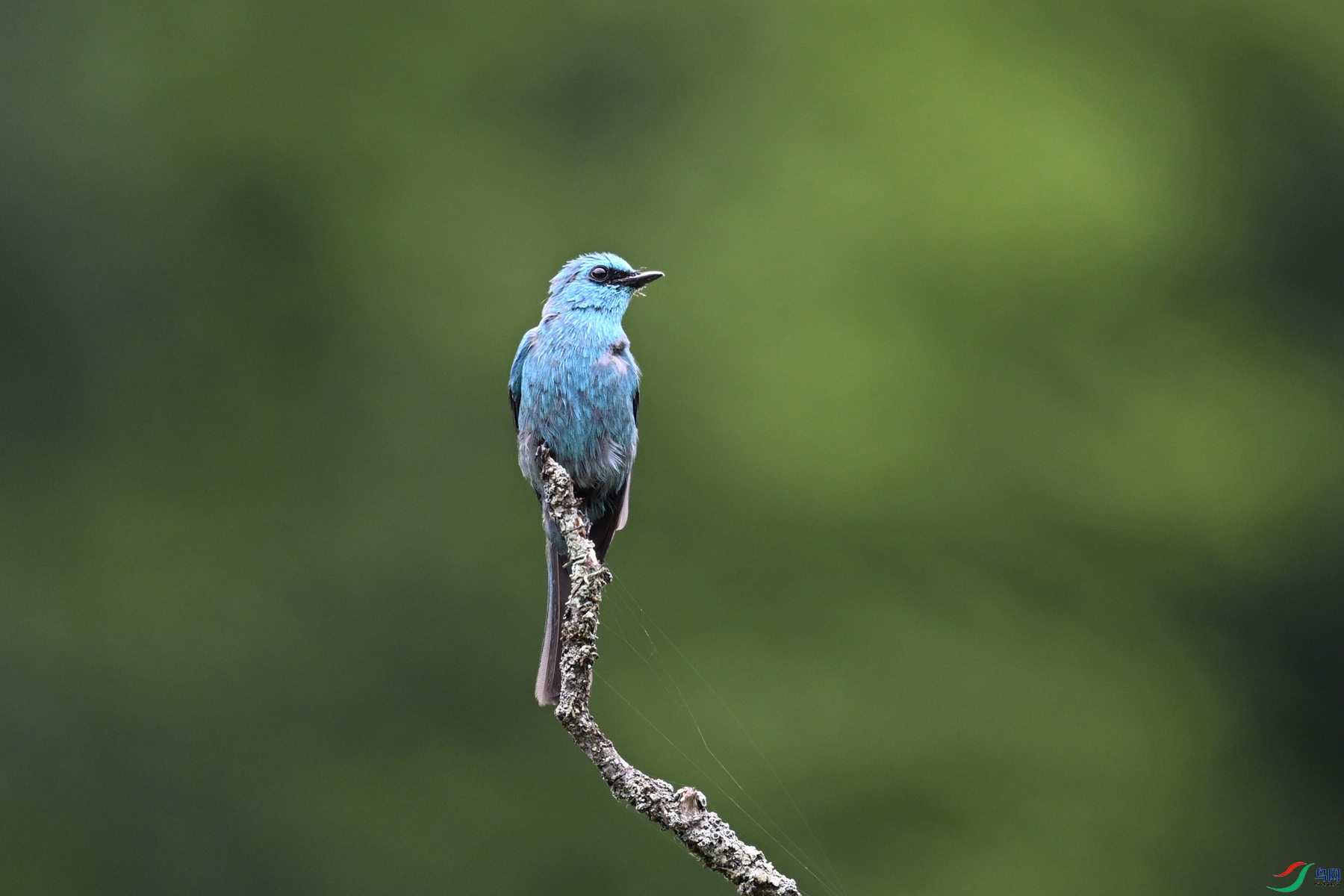DSC_3238.JPG