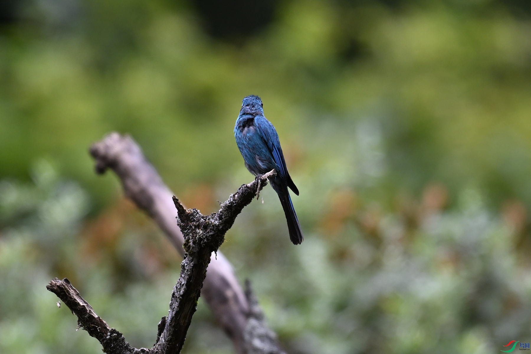 DSC_3252.JPG