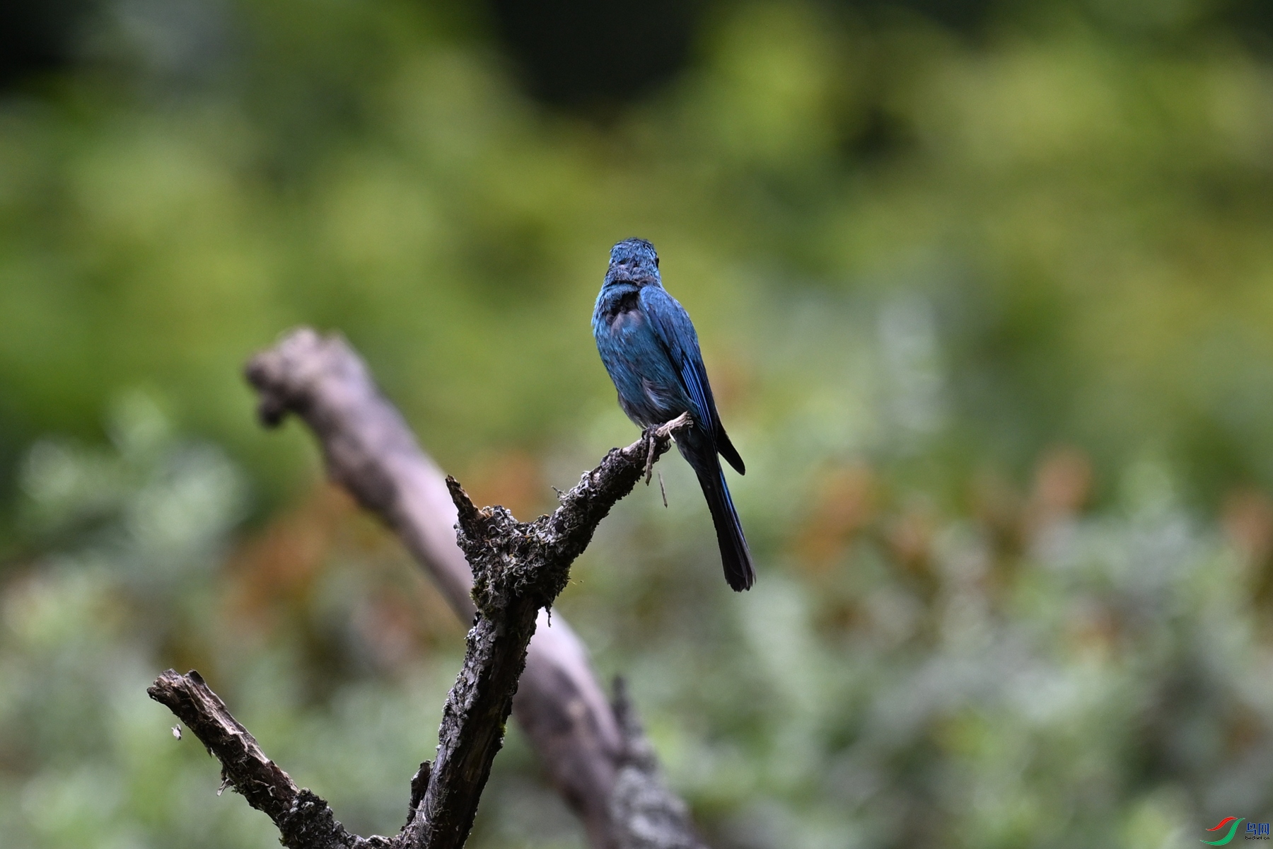 DSC_3254.JPG