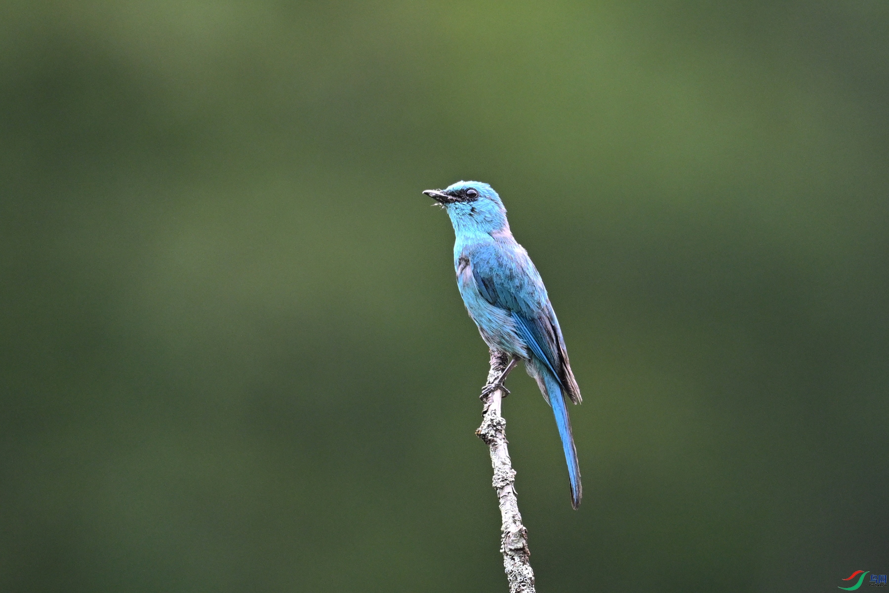 DSC_3173.JPG
