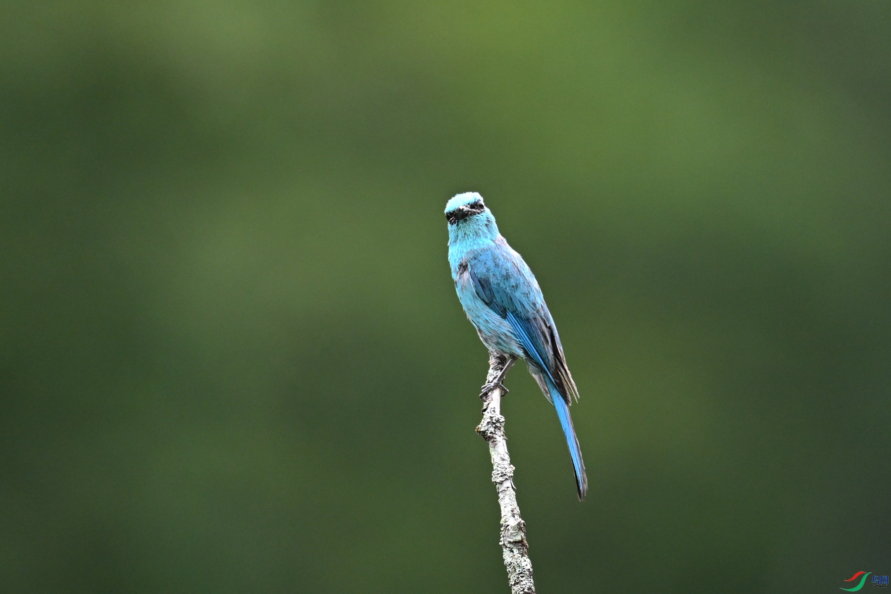 DSC_3174.JPG