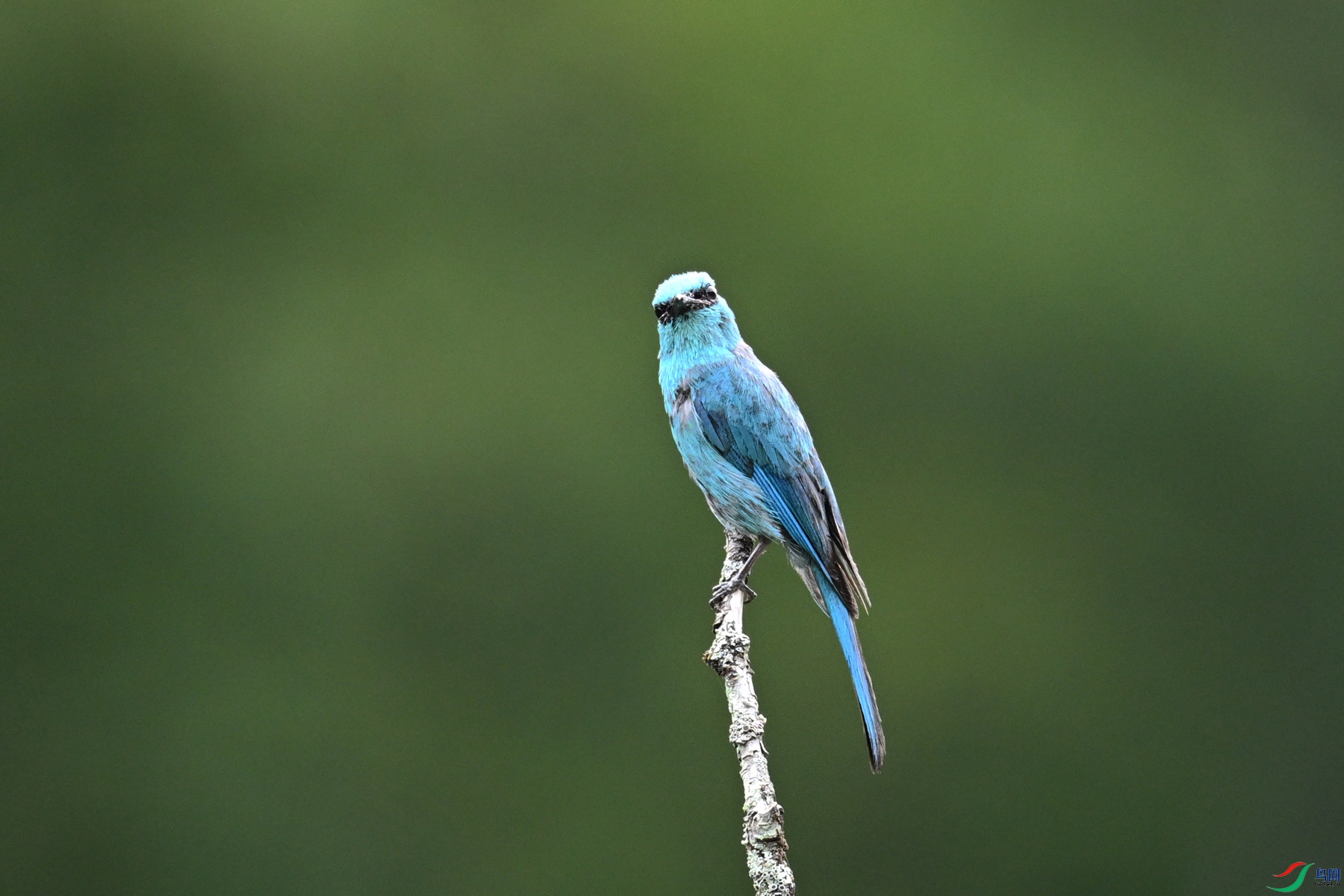 DSC_3175.JPG