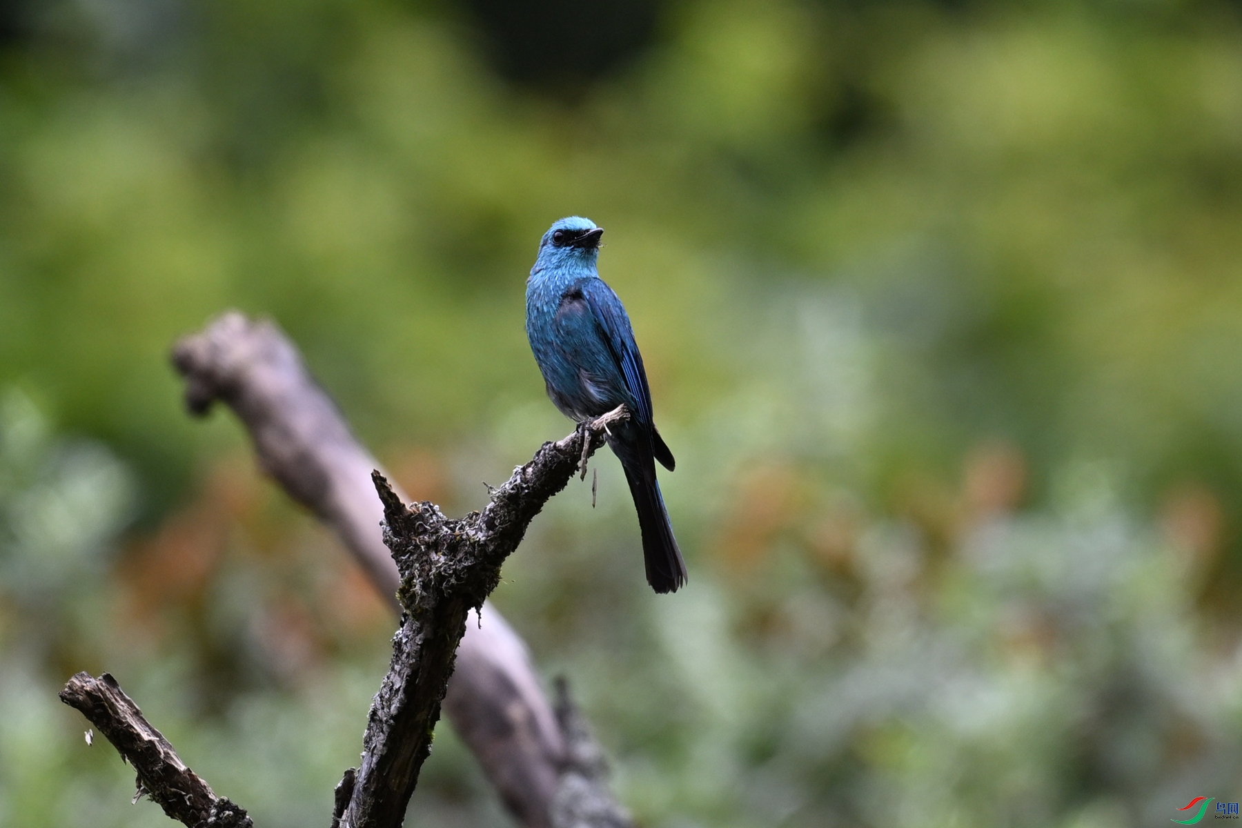 DSC_3255.JPG