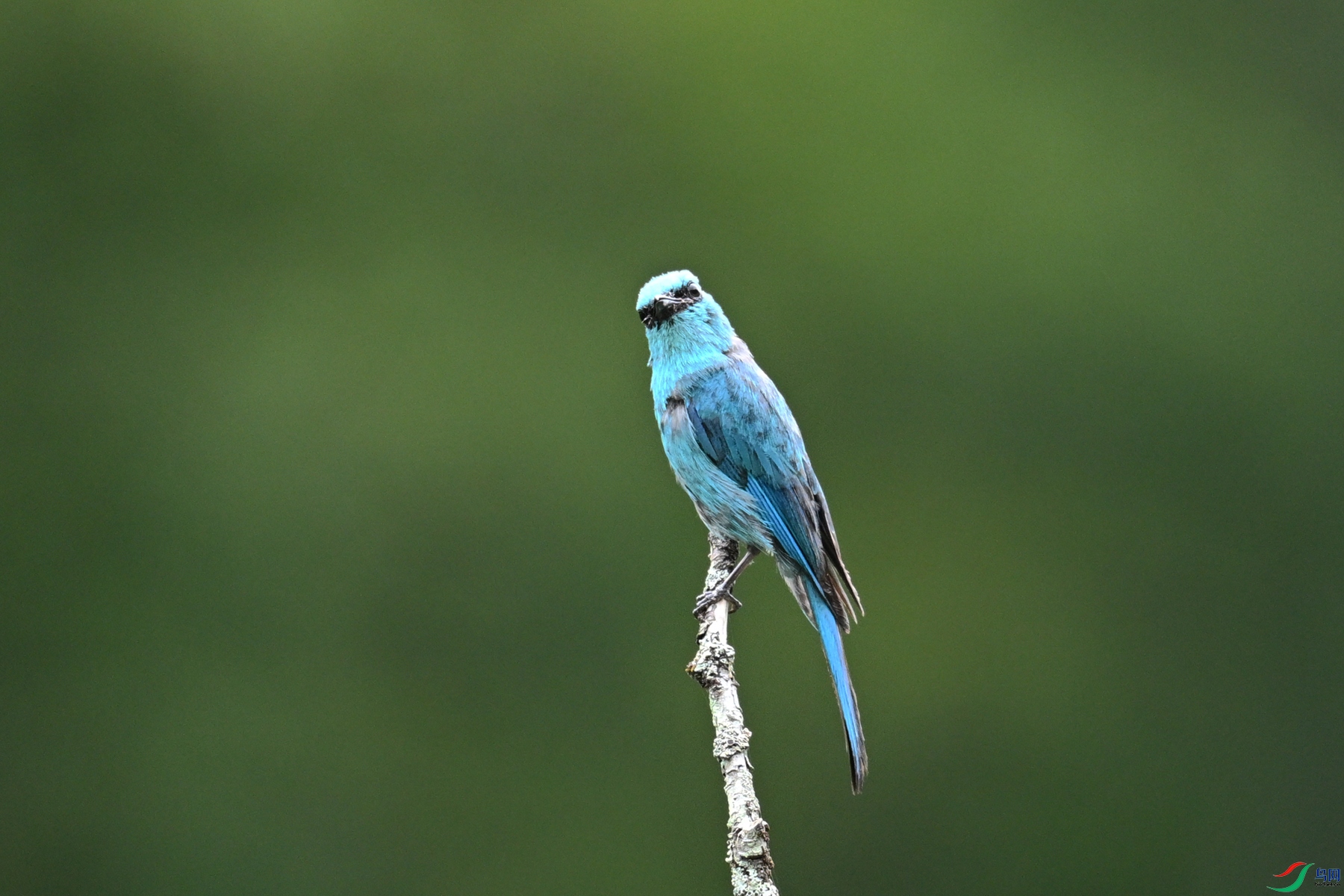 DSC_3178.JPG