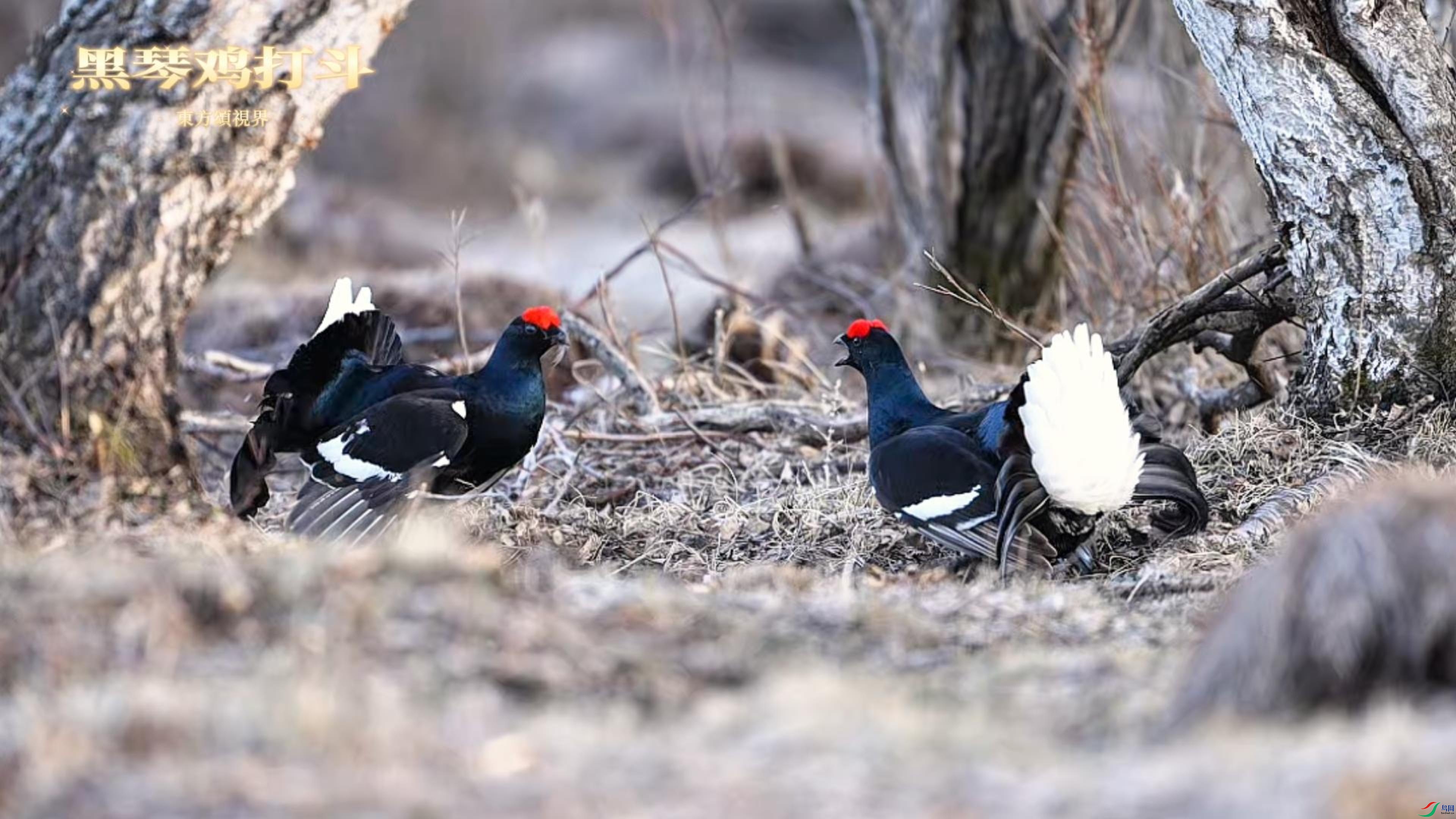 3��25�� ���ټ�-����.jpg