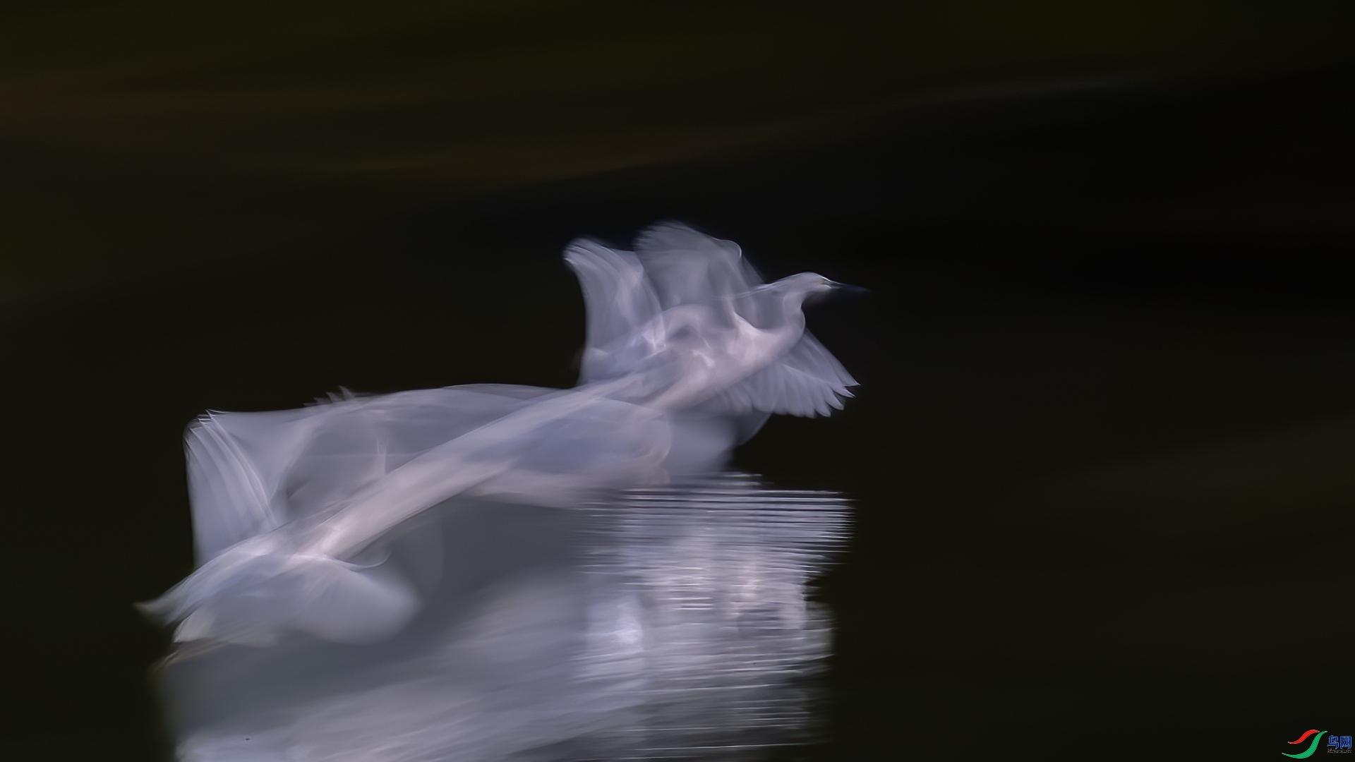 3.25 ��Ů��·����ʦ��Ʒ  ����  �ٻ�2026��3��25�հ�����ҳ����.jpg