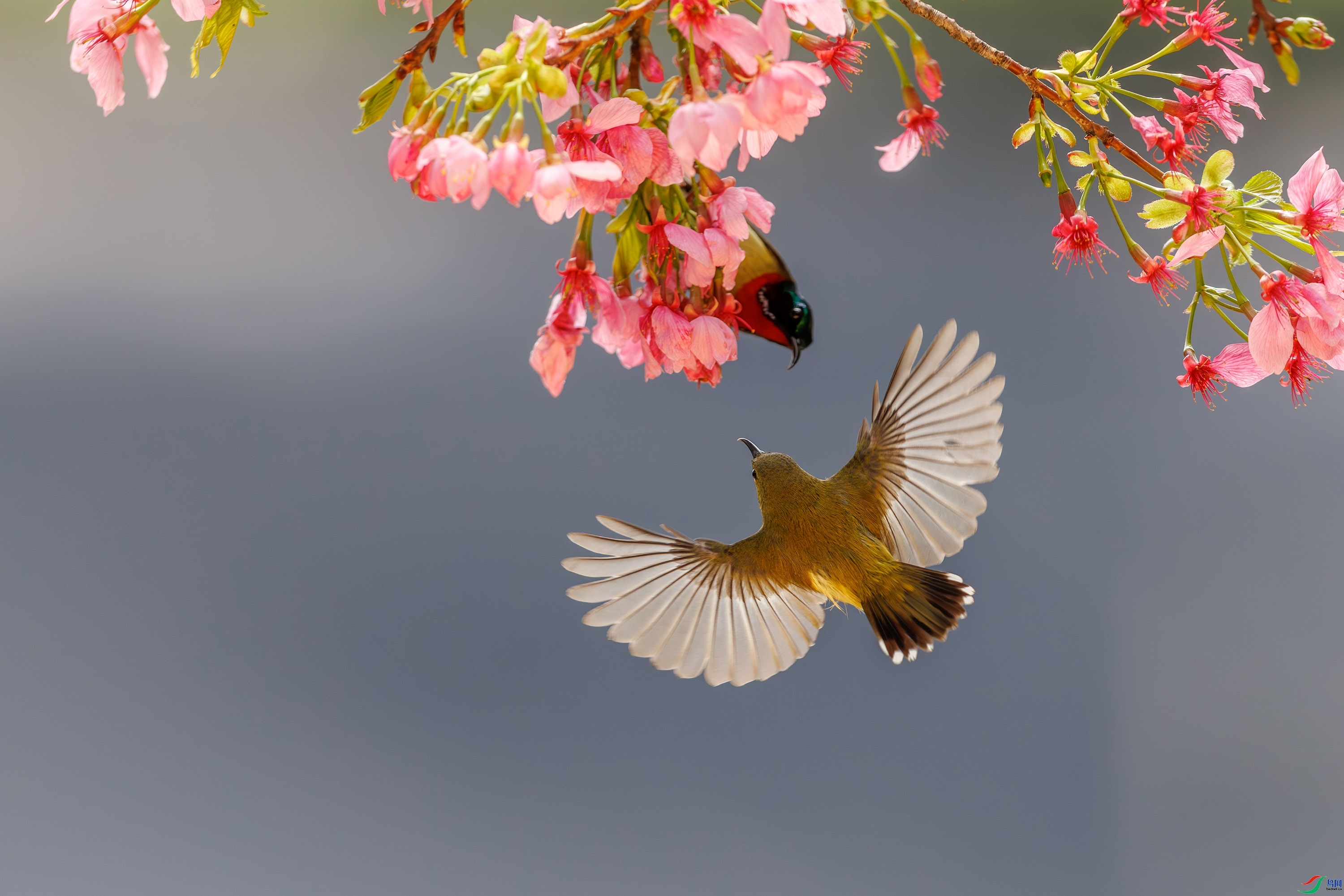 3.26 �����Ŀ���ʦ��Ʒ  չ��  �ٻ�2026��3��26����Ӱʦ��ҳ����.jpg