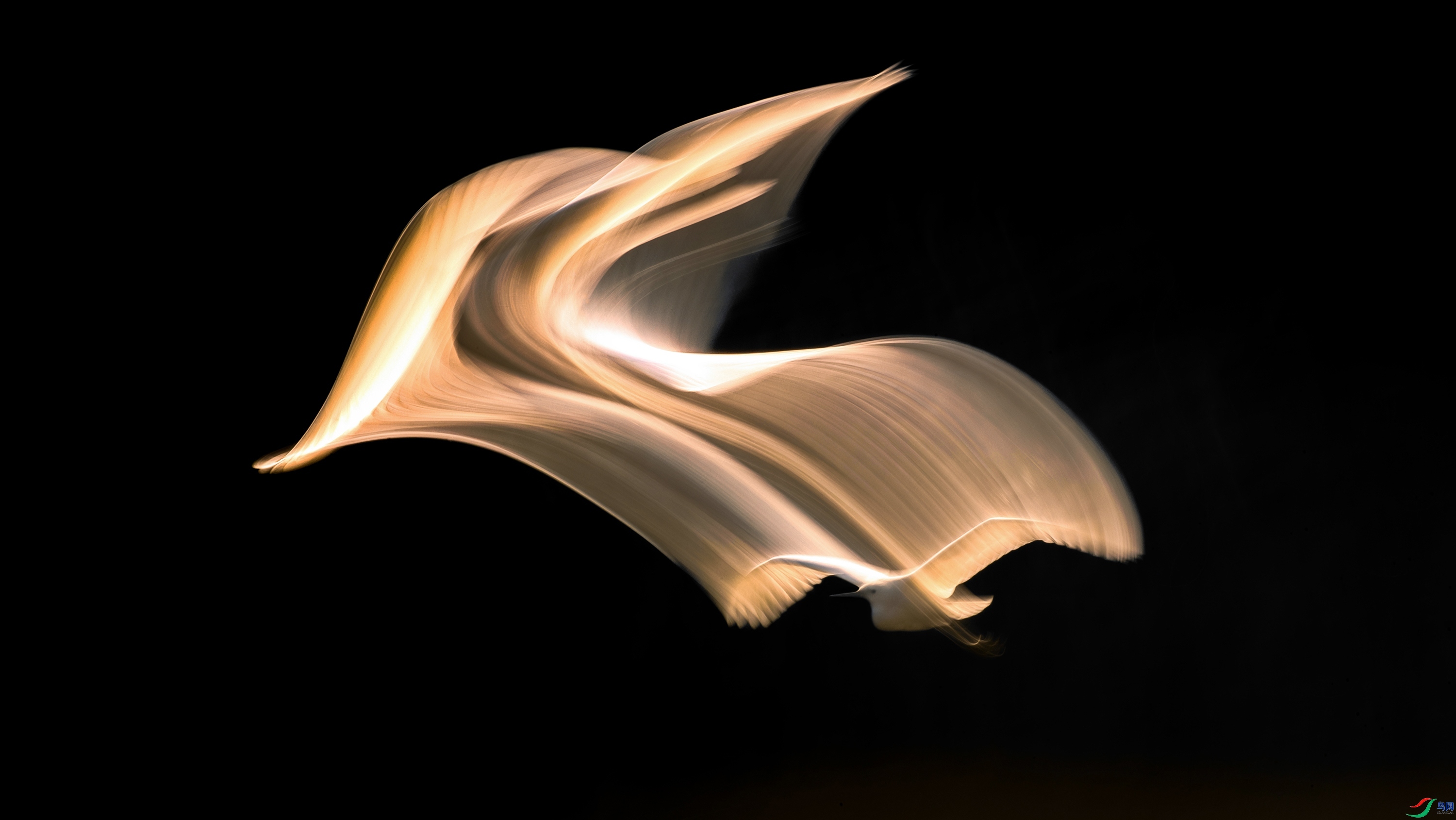 3.29 Hsia��ʦ��Ʒ  �����ƿ�  �ٻ�2026��3��29�հ�����ҳ����.jpg