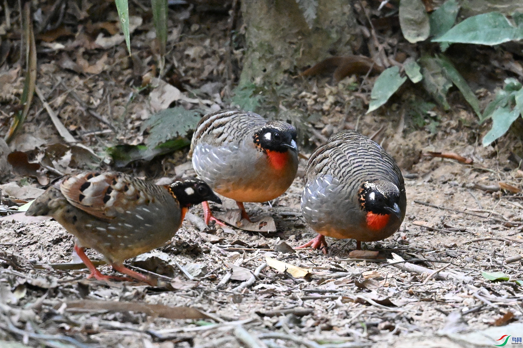 DSC_7287.JPG