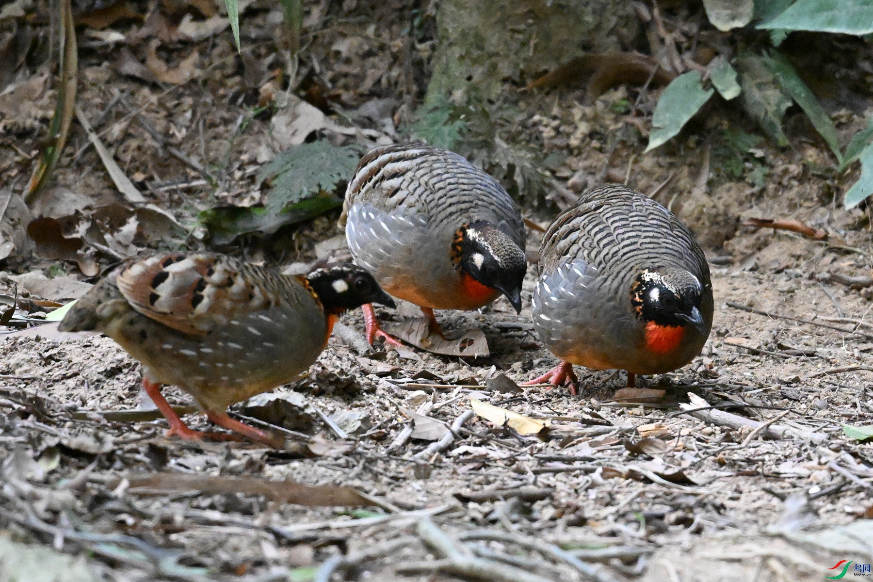 DSC_7289.JPG