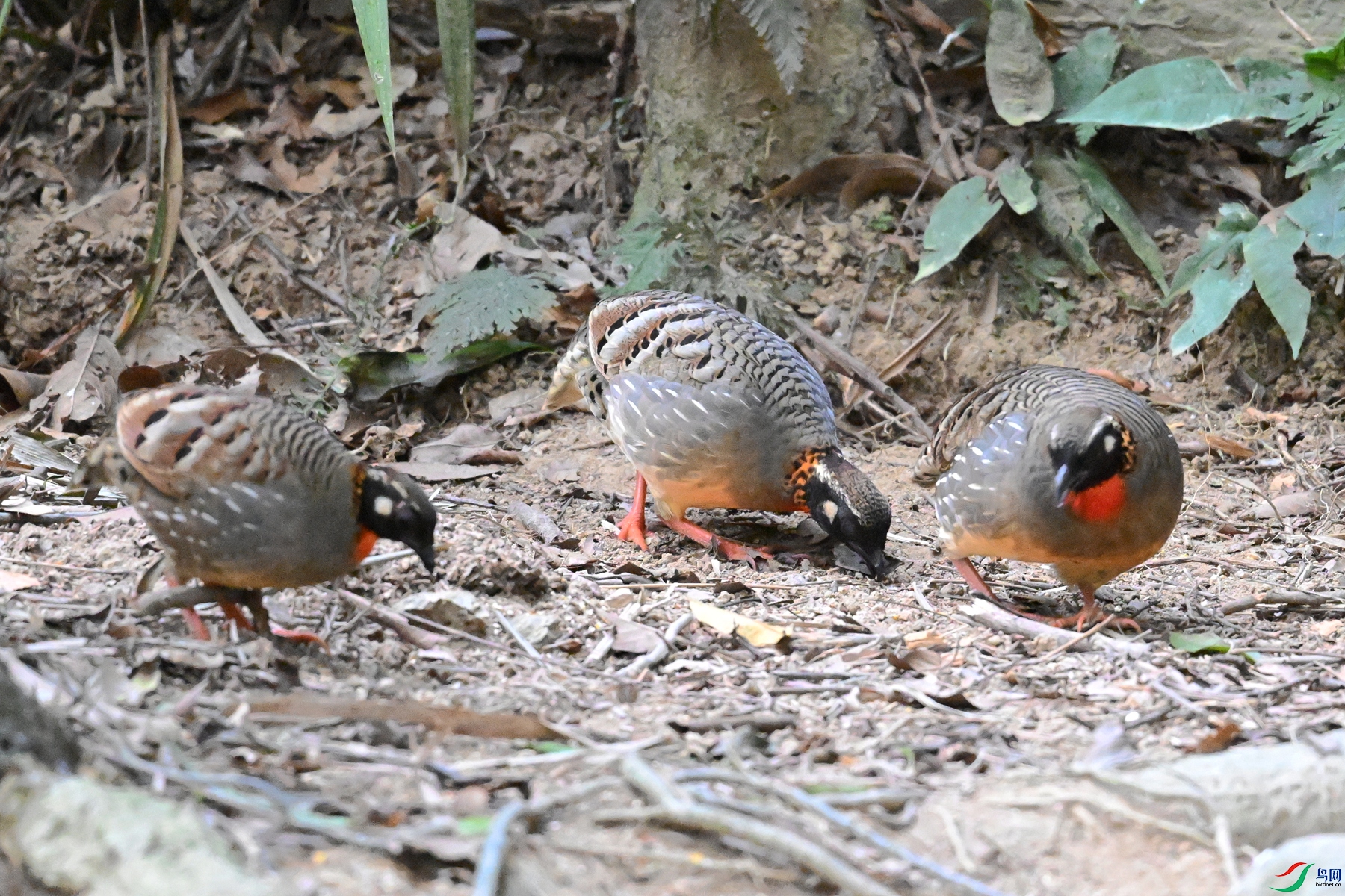 DSC_7291.JPG