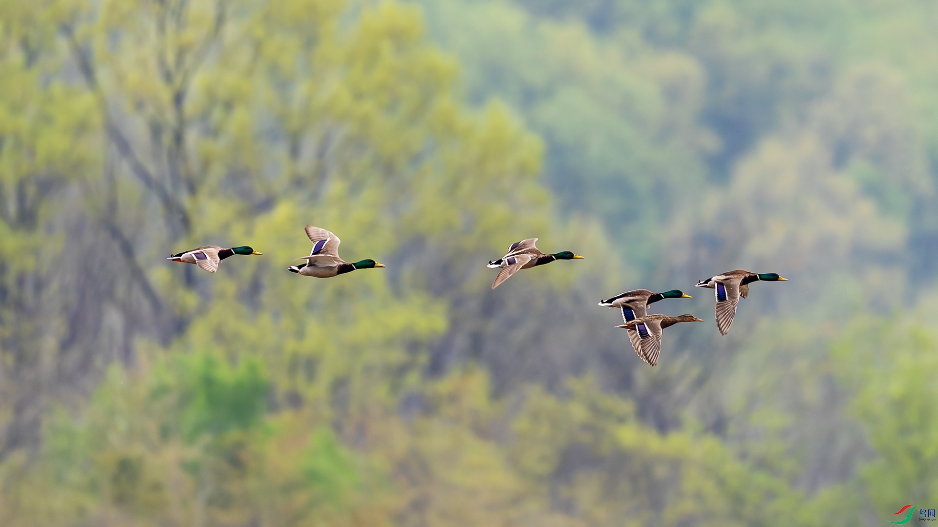 _F9A7599 ����.jpg