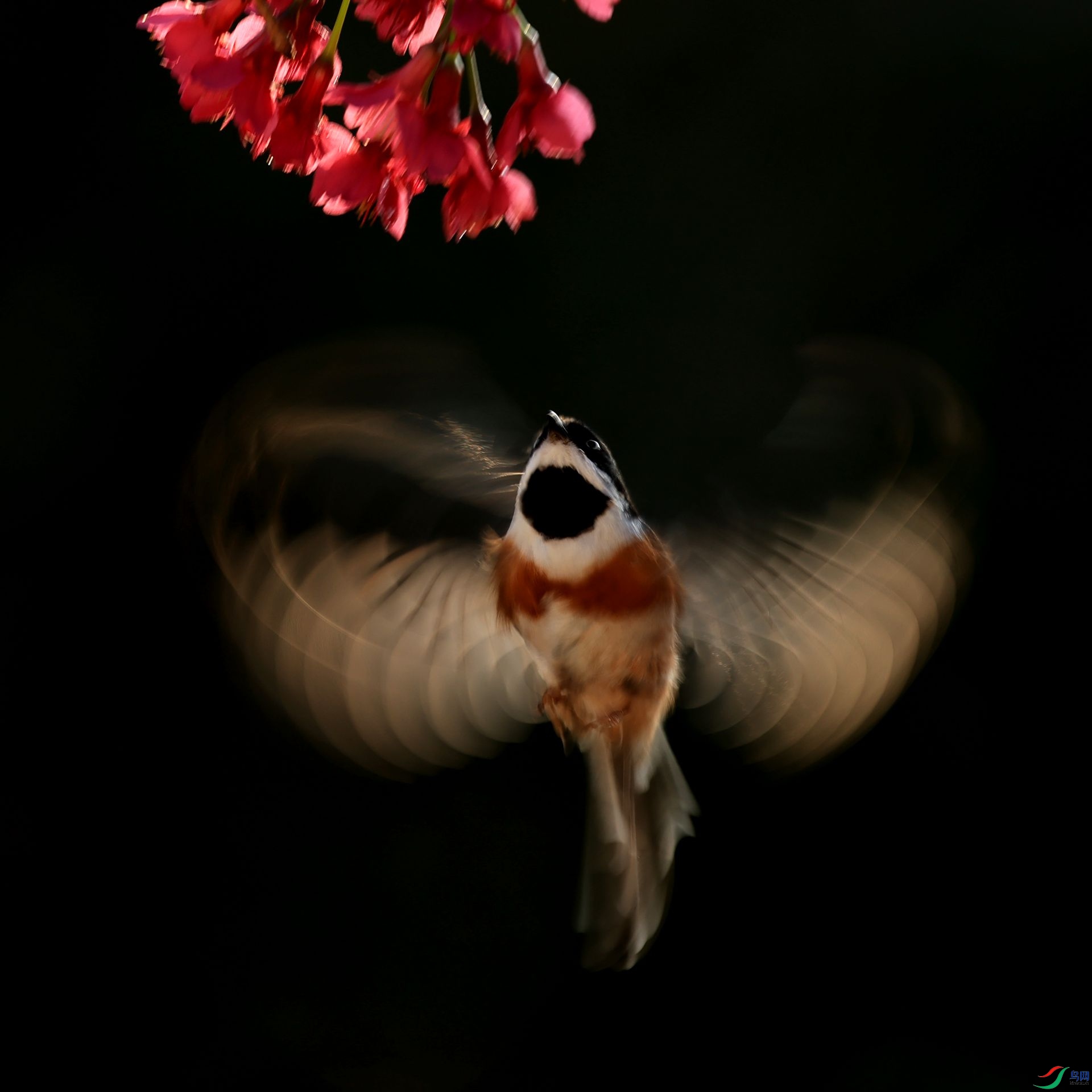 3B6A3283_����.jpg