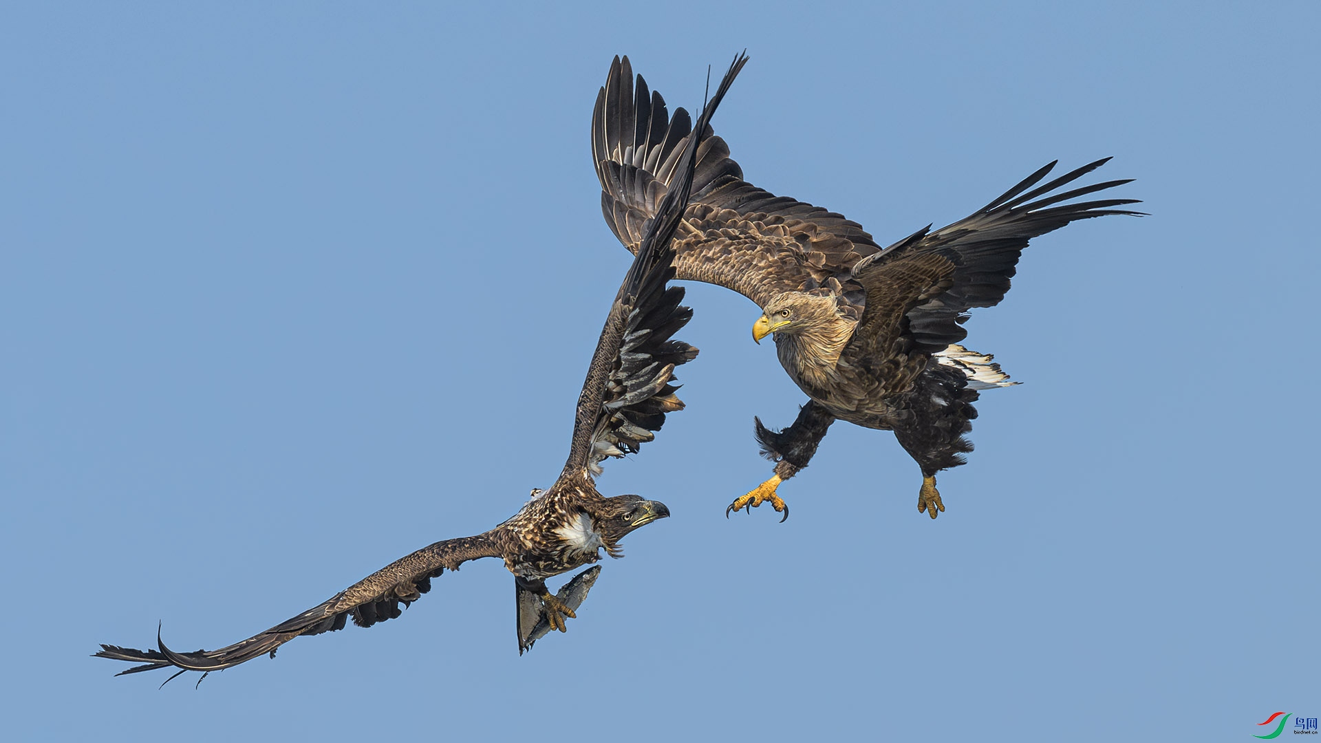 _DSC0233 ����.jpg