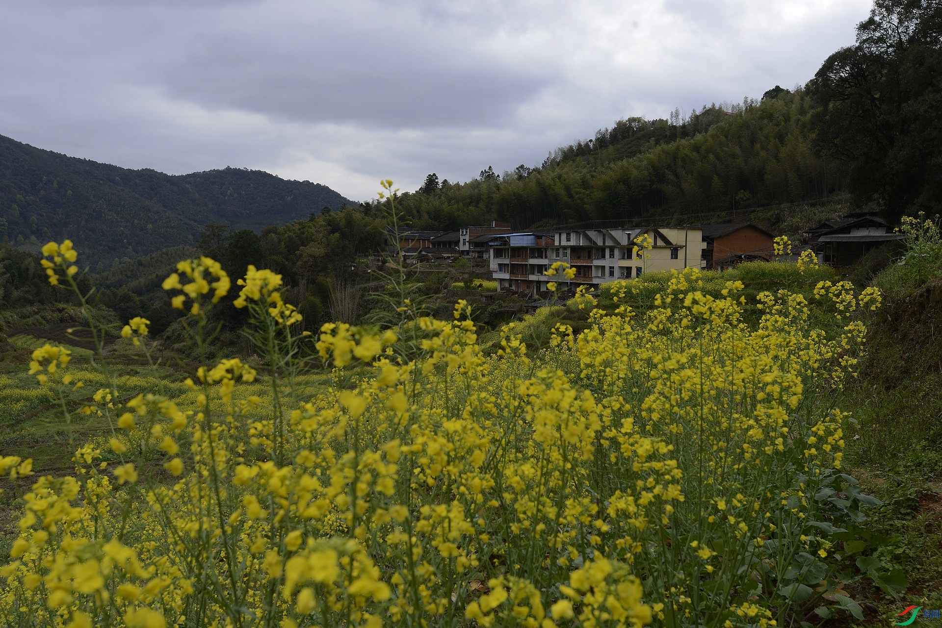 _D808706.jpg