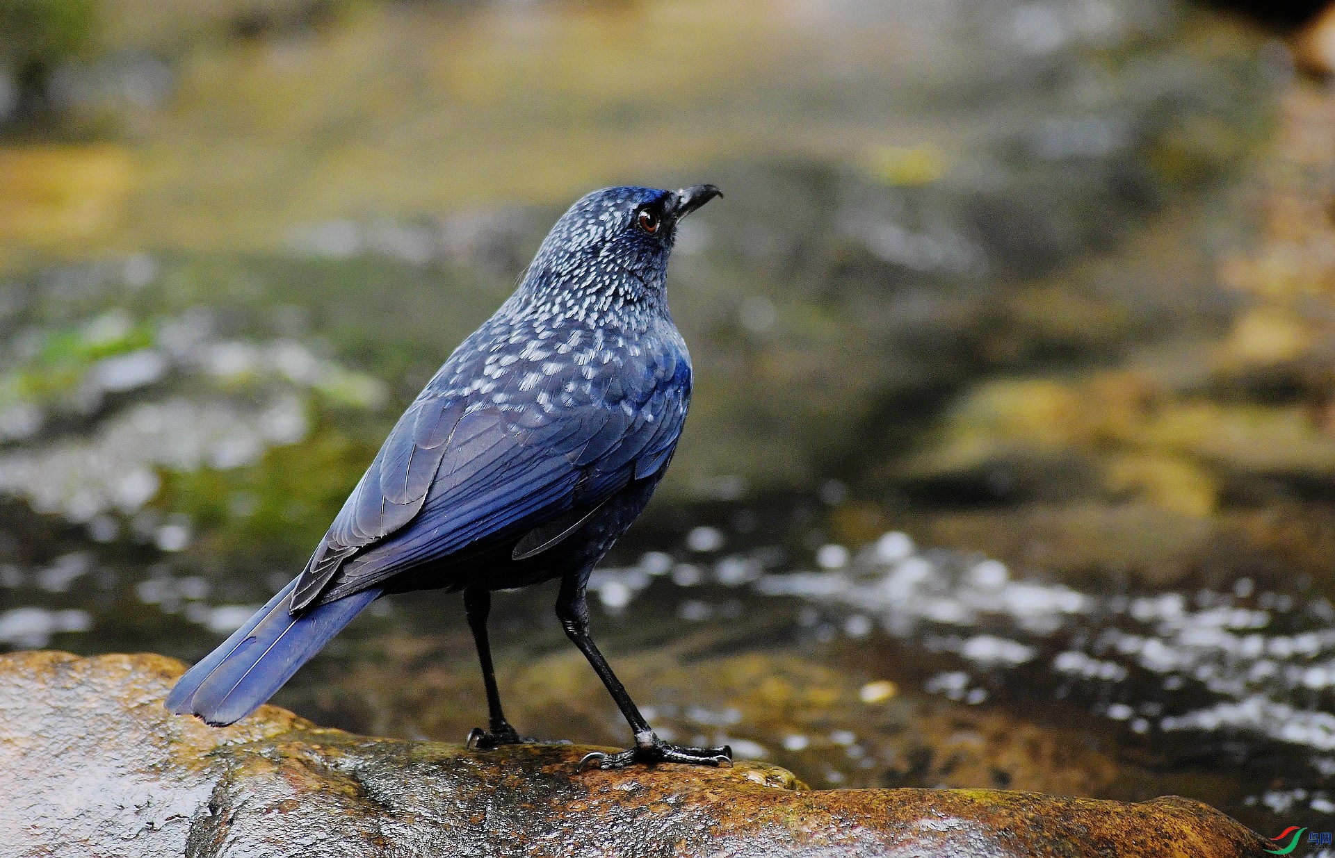 DSC_7905.jpg