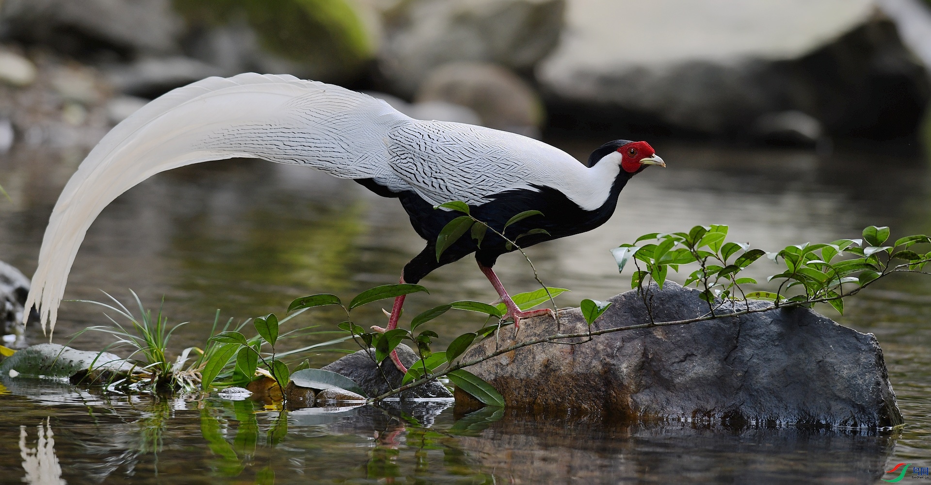 DSC_7918.jpg